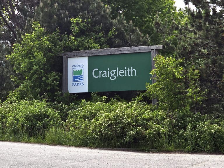 Craigleith Provincial Park Campground Review [Blue Mountains] - 2 Nerds ...