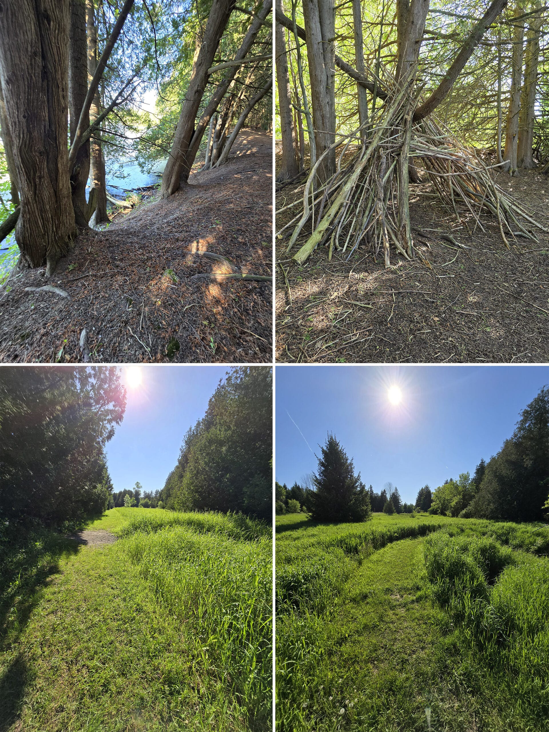 4 part image showing various views along the Little Trail.