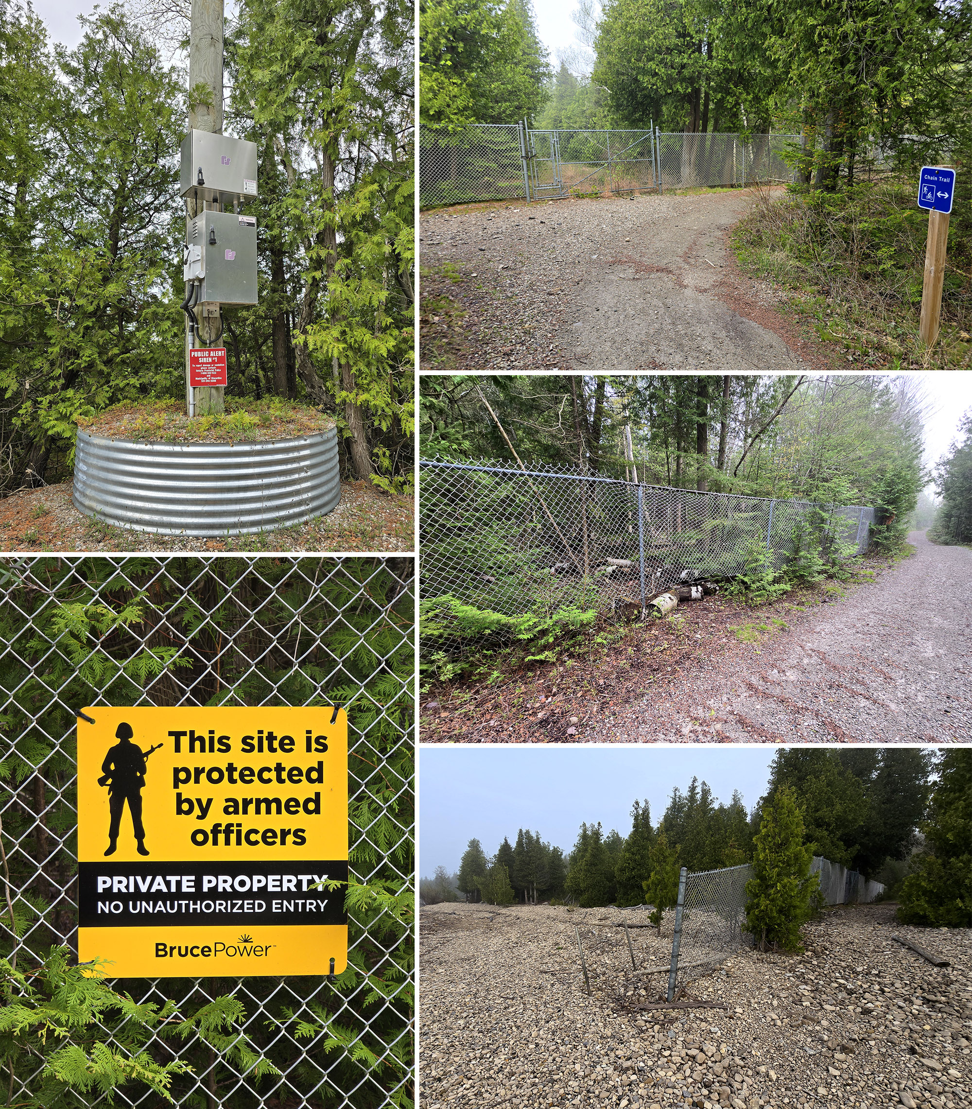 5 part image showing various views of the Chain Trail in Inverhuron Provincial Park.