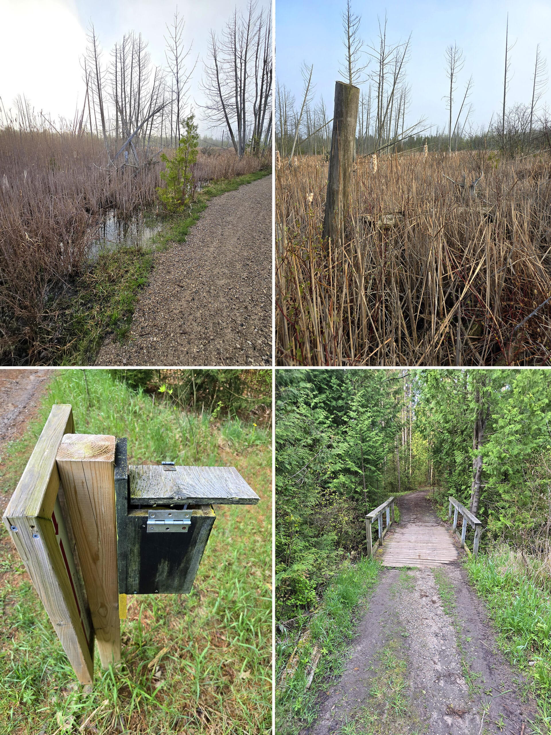 4 part image showing various views of the Chain Trail in Inverhuron Provincial Park.