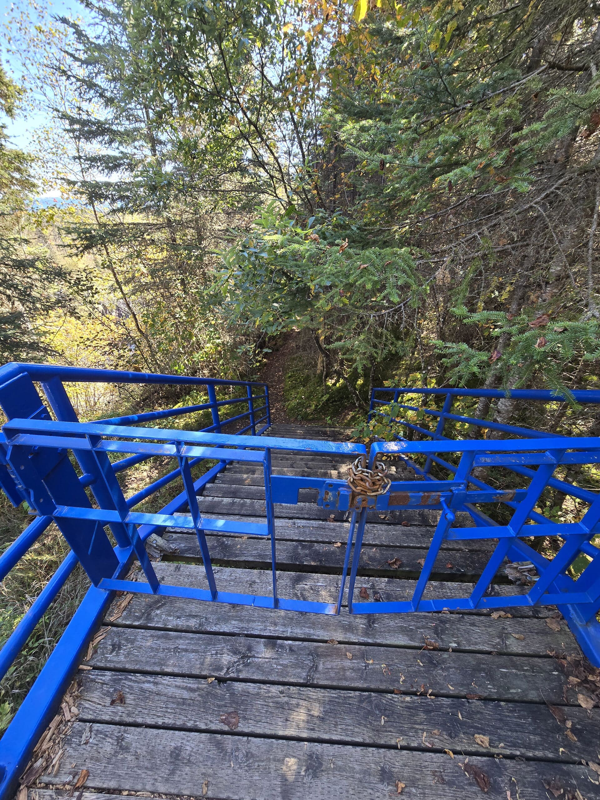 A blue metal gate blocking off a staircase.