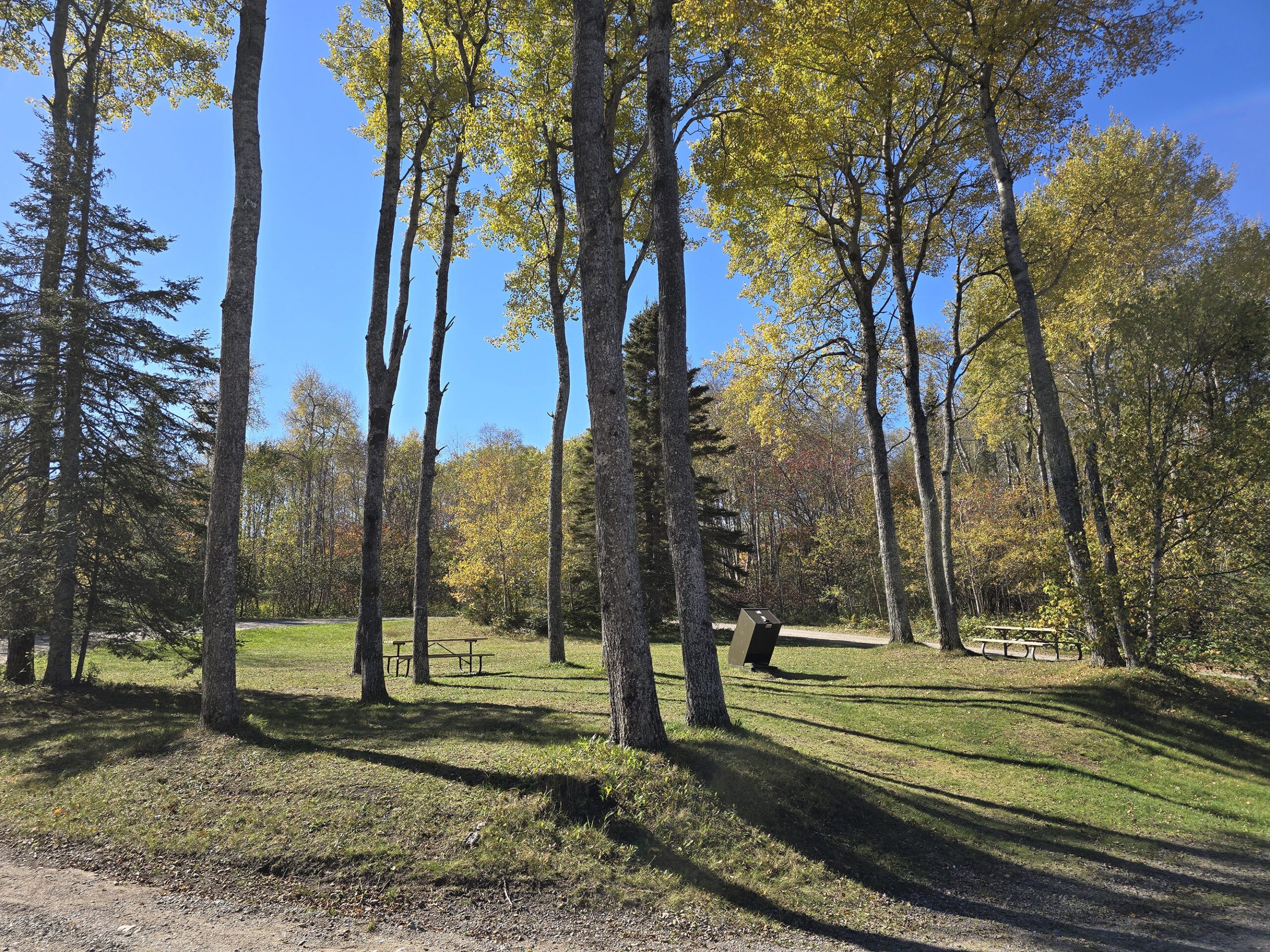 A treed picnic area at aguasabon falls/