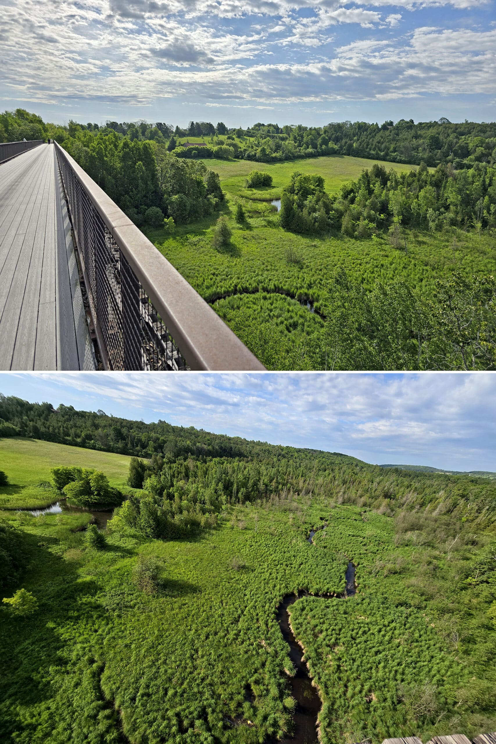2 part image showing Doube’s Trestle Bridge and the view from it, over the valley.