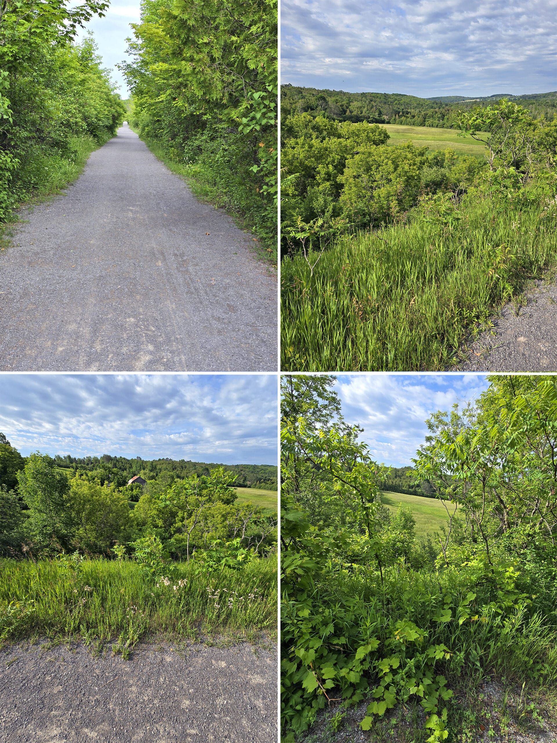 4 part image showing a flat limestone path going though farmland.