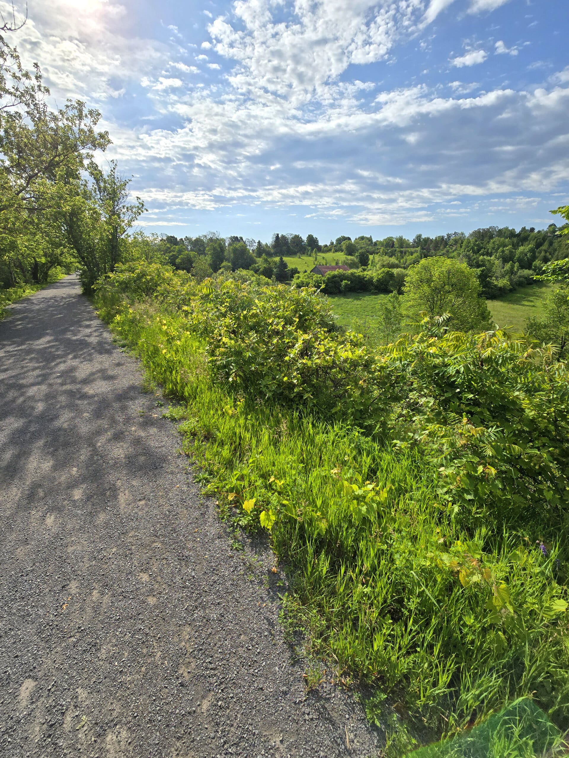 A wide, flat trail going along a farm.