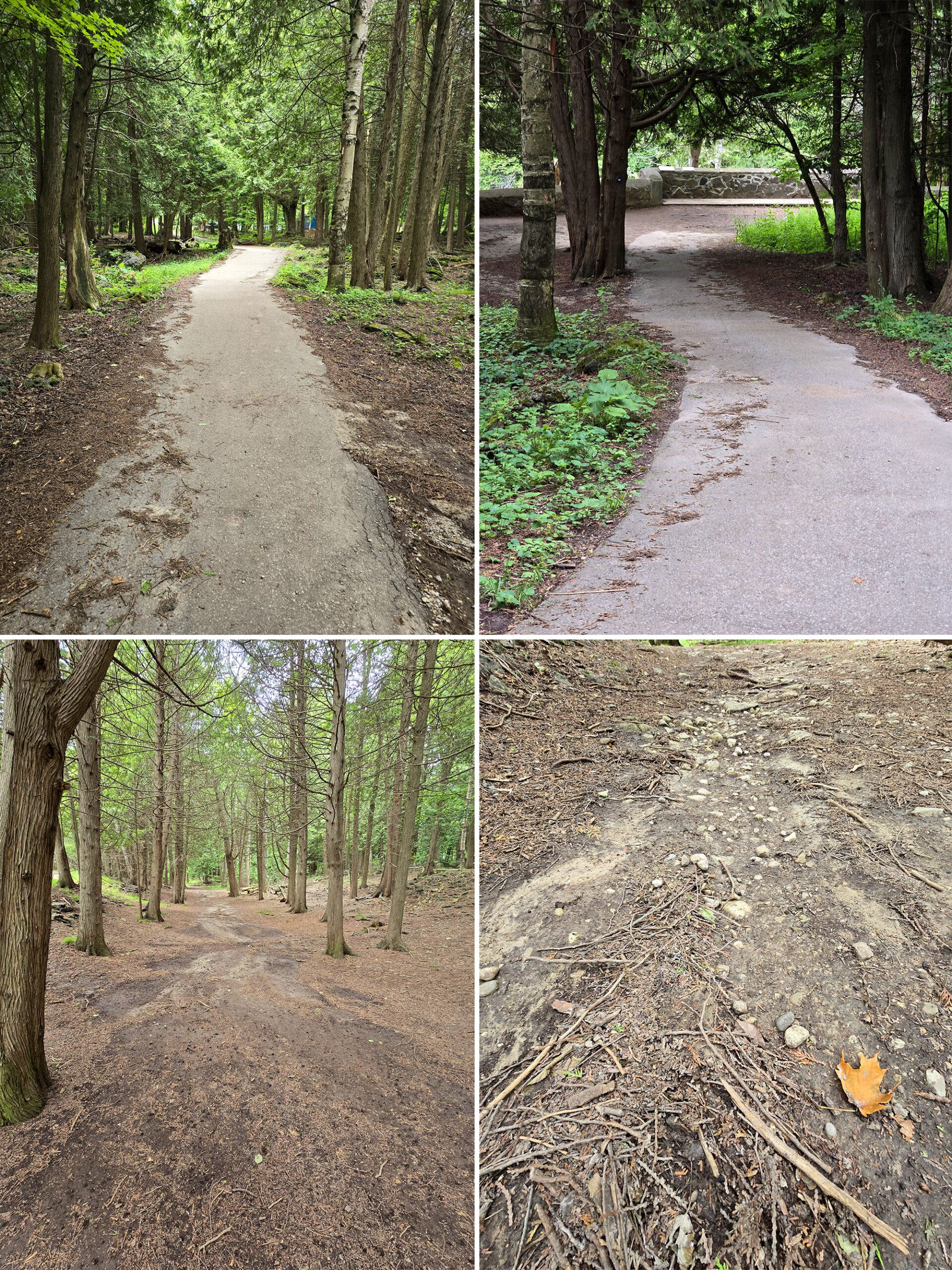 4 part image showing a paved trail, and a rough trail.