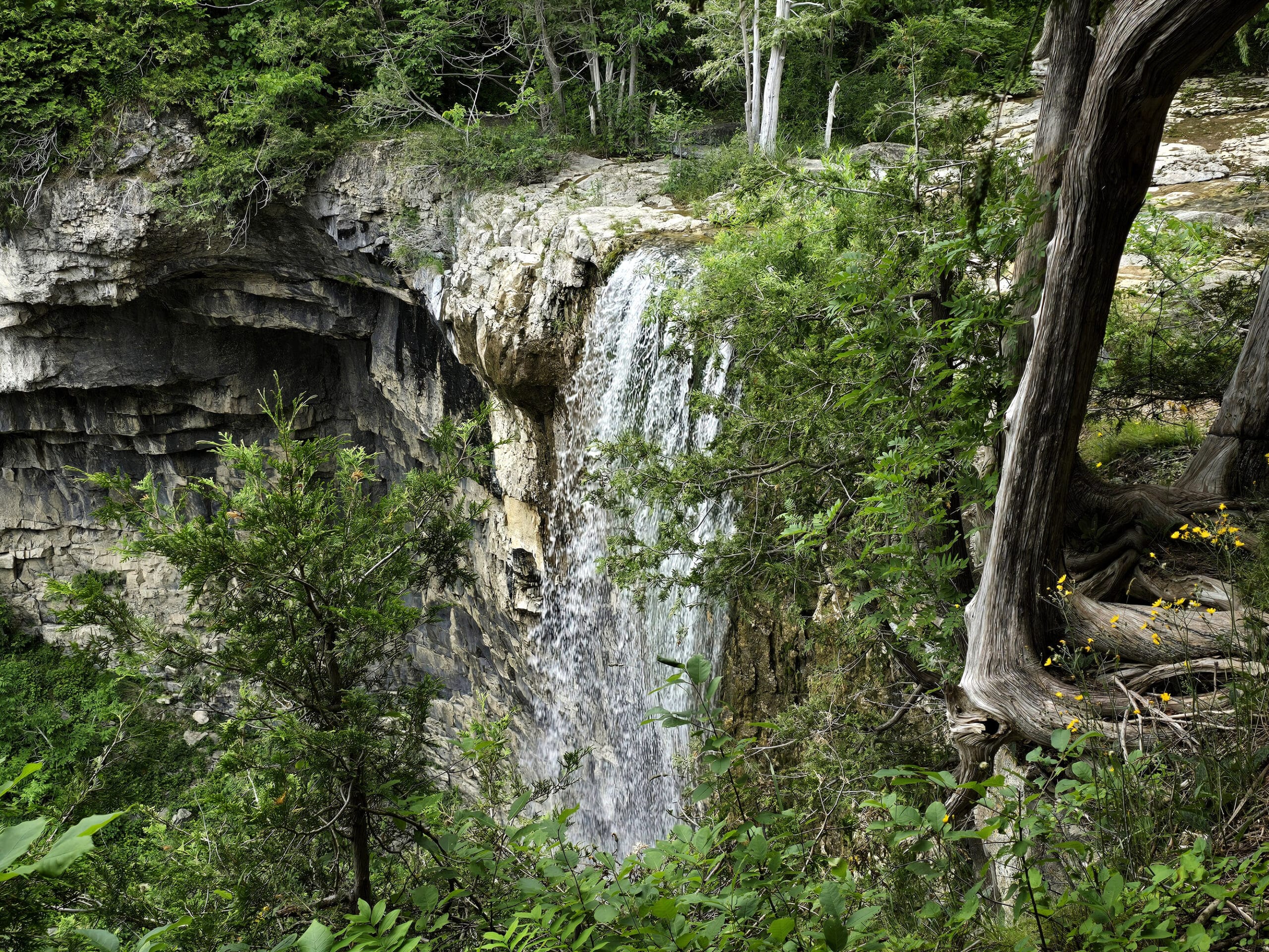 Eugenia falls, a tall waterfall off a cliff.