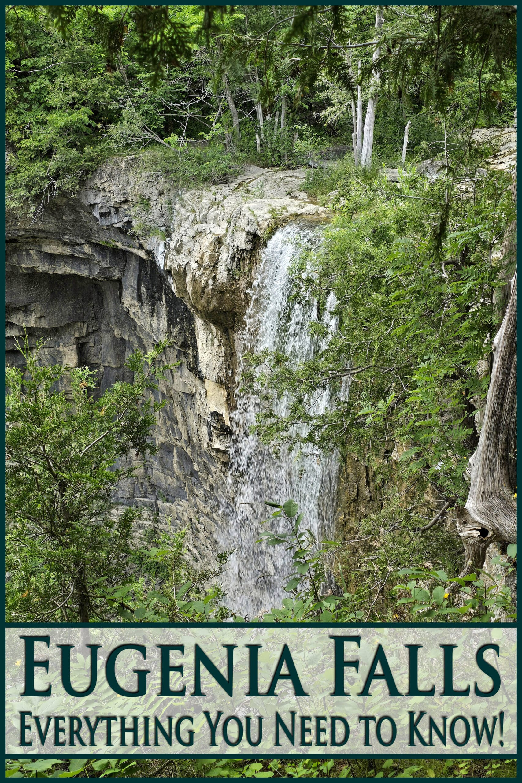 Eugenia falls, a tall waterfall off a cliff.  Overlaid text says eugenia falls, everything you need to know.