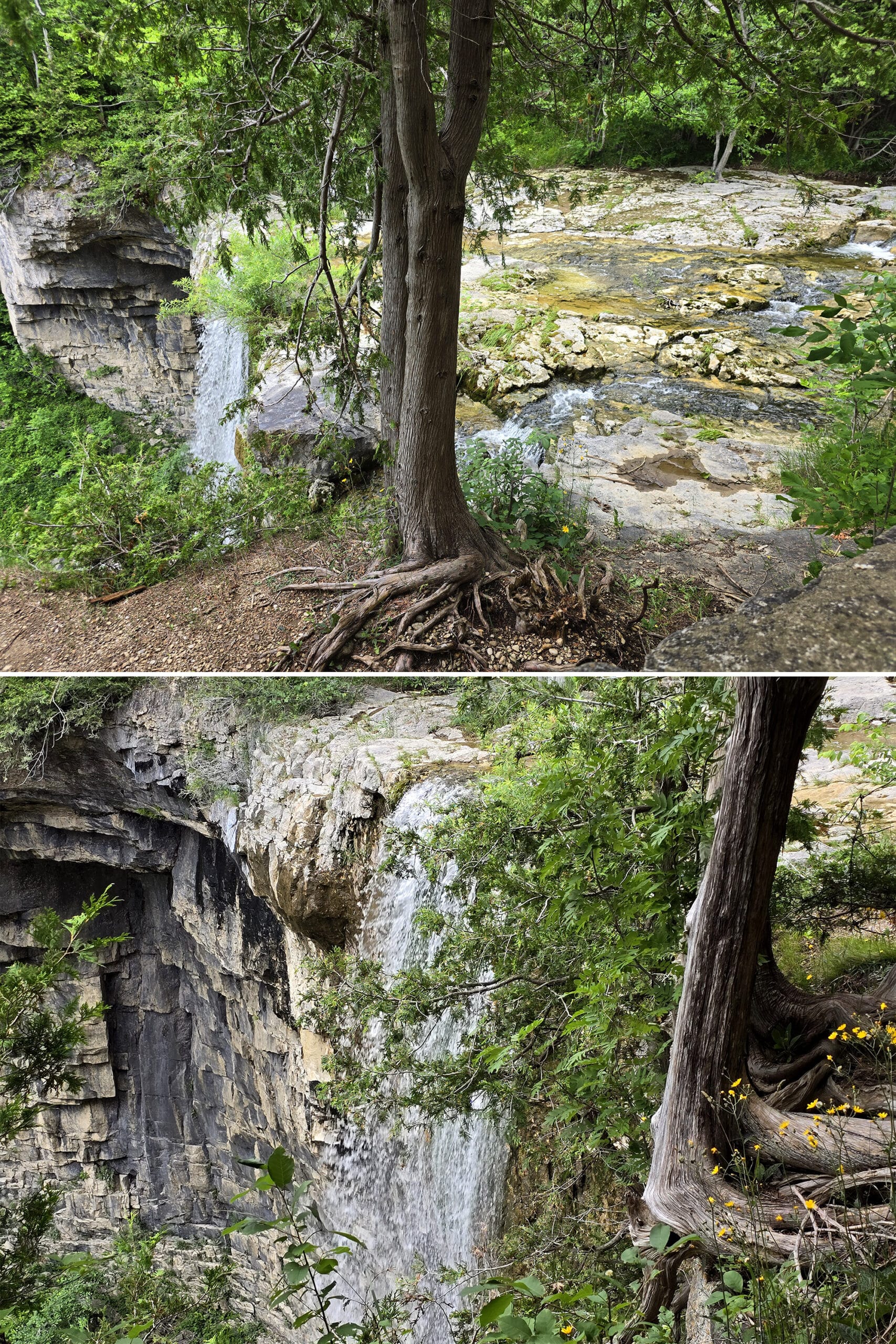 2 part image showing different views of Eugenia falls from the top.