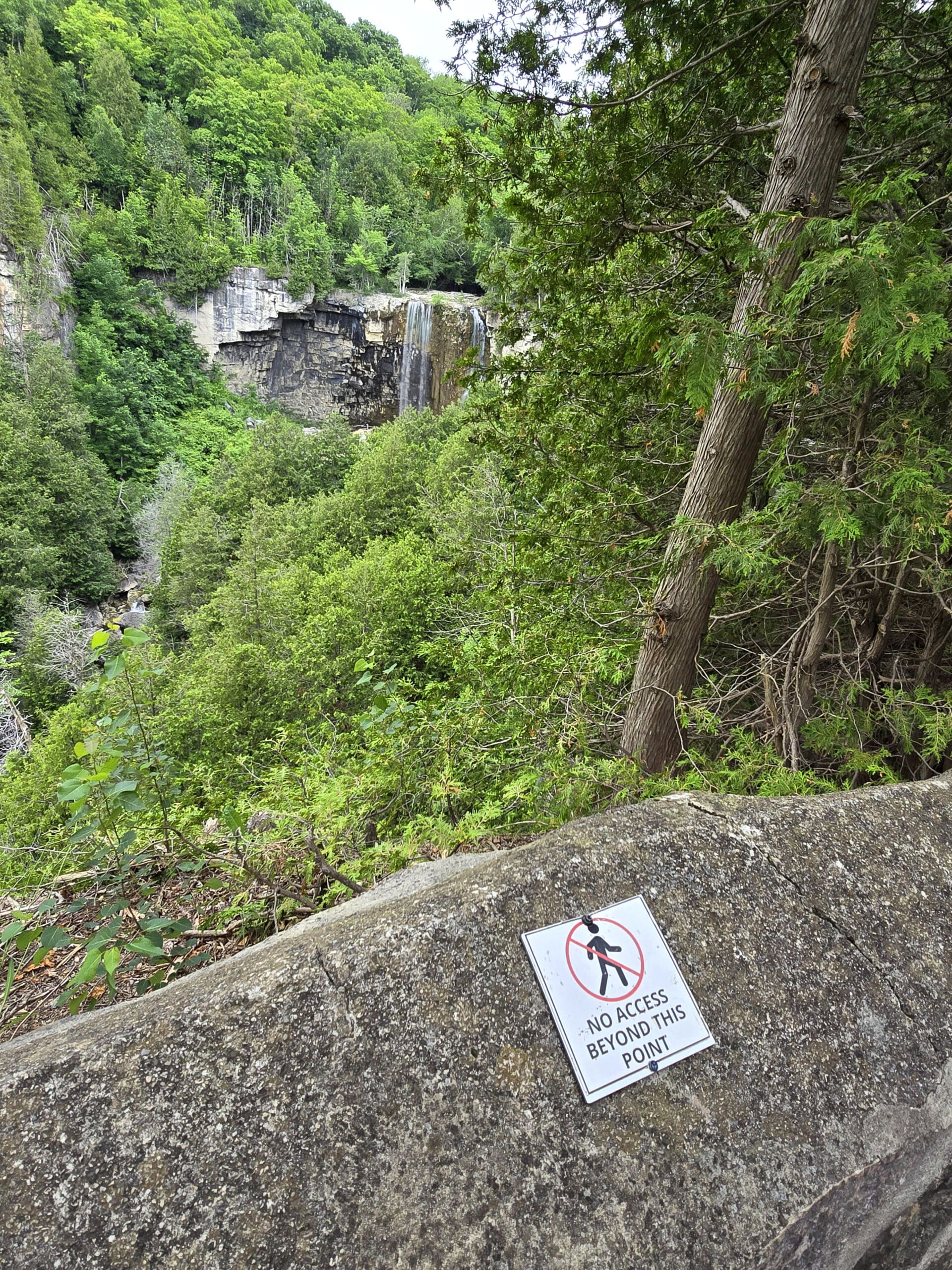 The view of a waterfall way off in the distance, with the barrier of the lookout in the foreground.