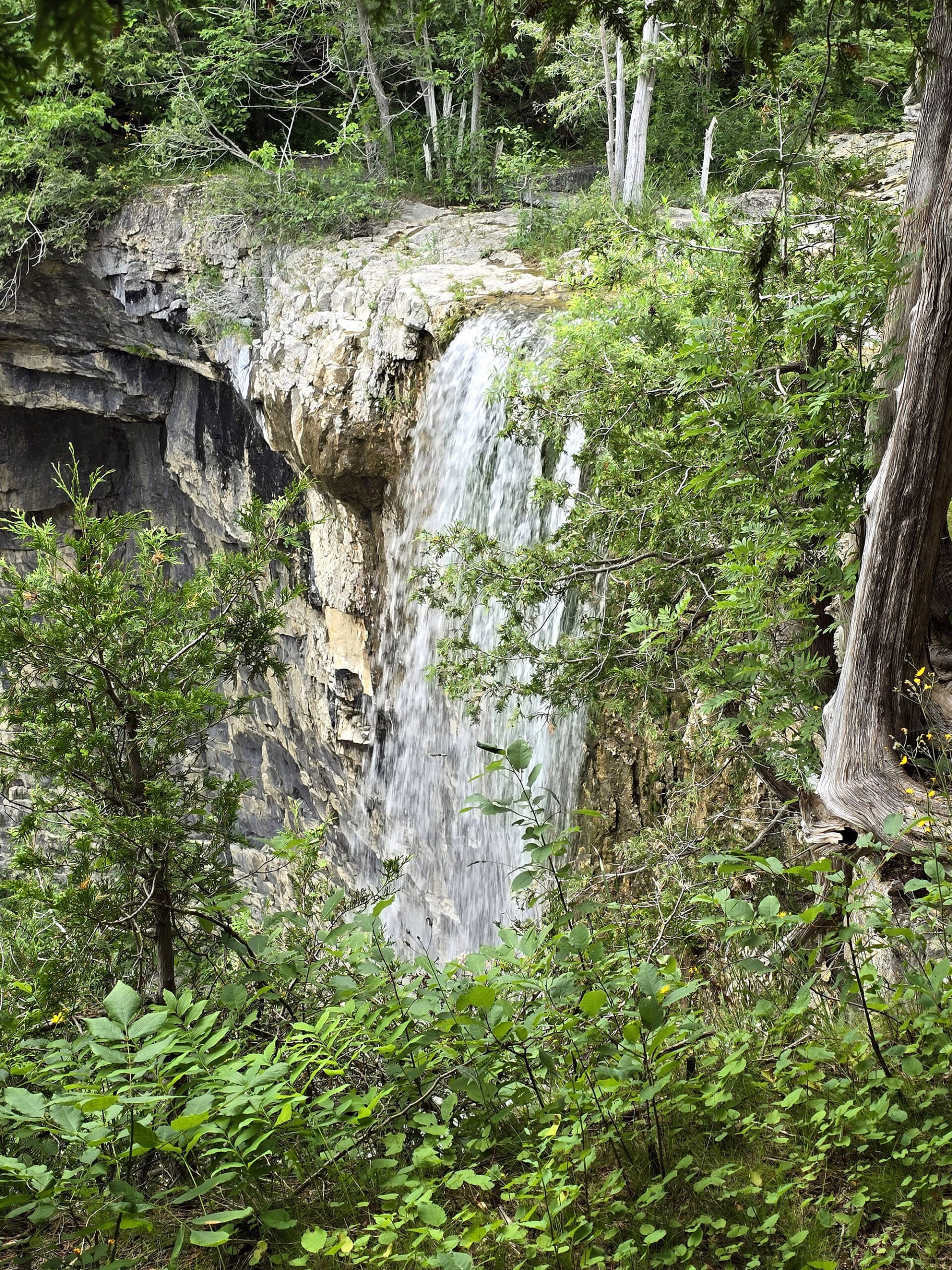 Eugenia falls, a tall waterfall off a cliff.