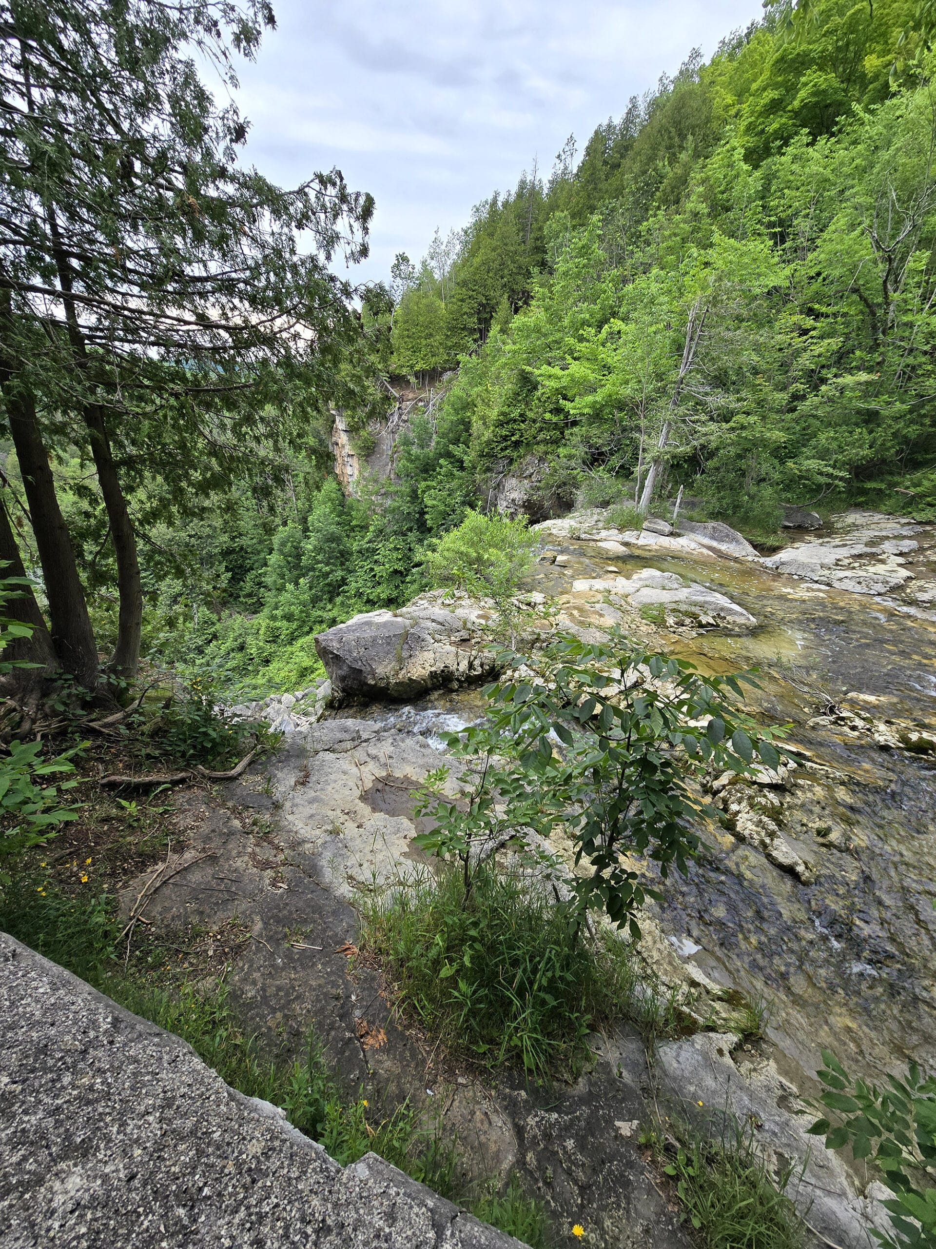 A view looking out over the top of Eugenia Falls.