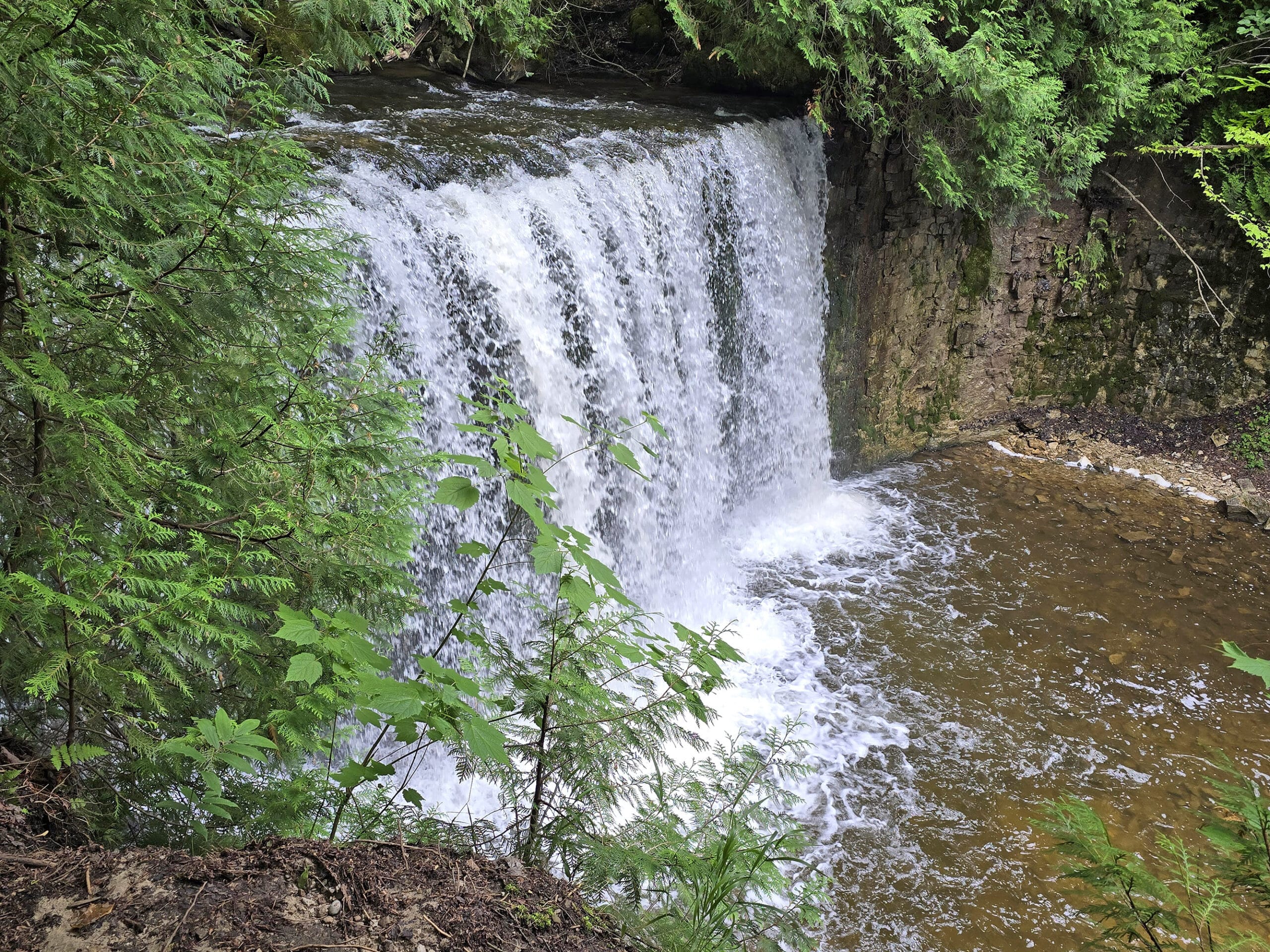 Hogg’s Falls Falls, as viewed from the side.