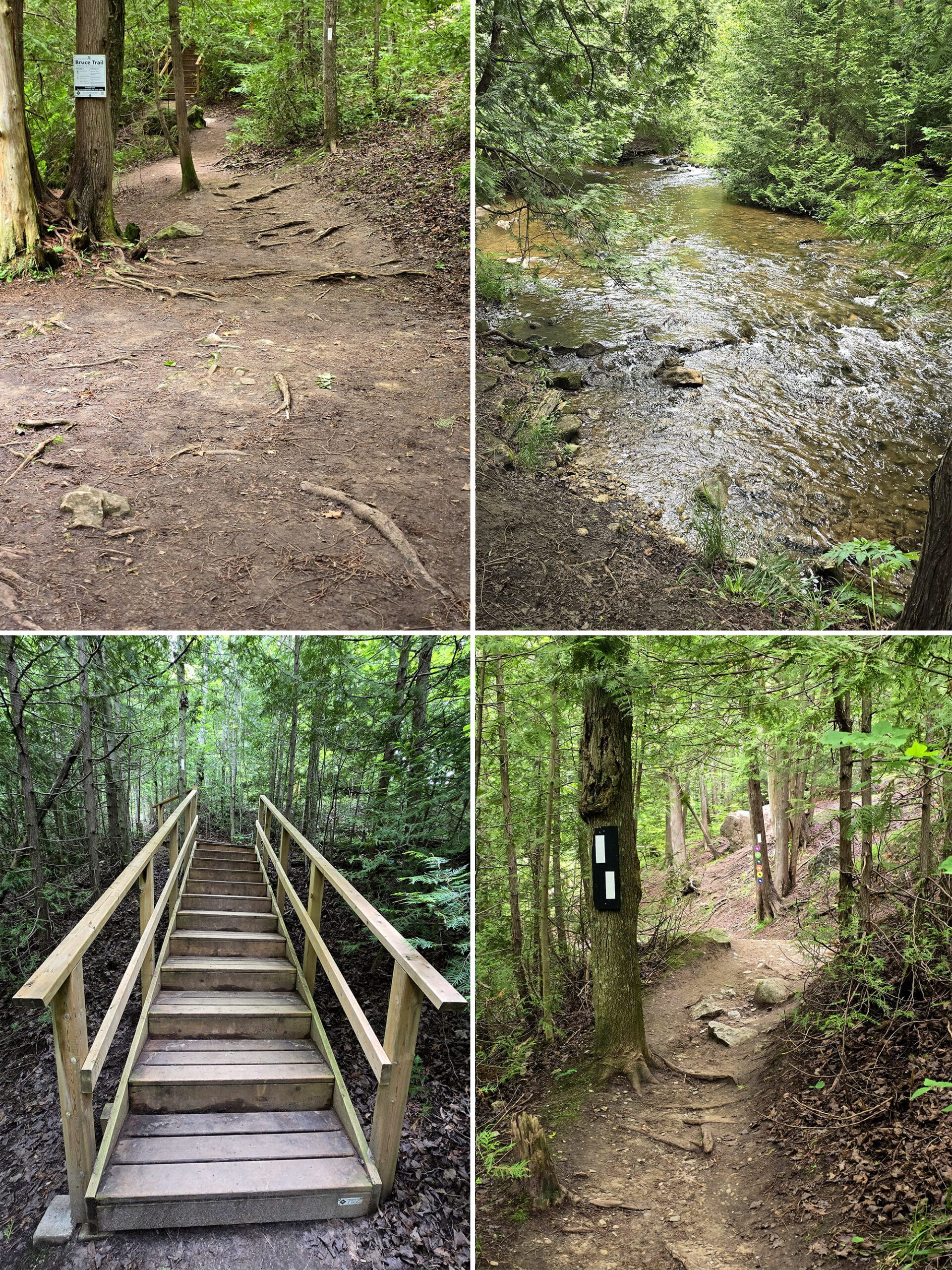 4 part image showing various views along the Lookout Trail at Hogg’s Falls.