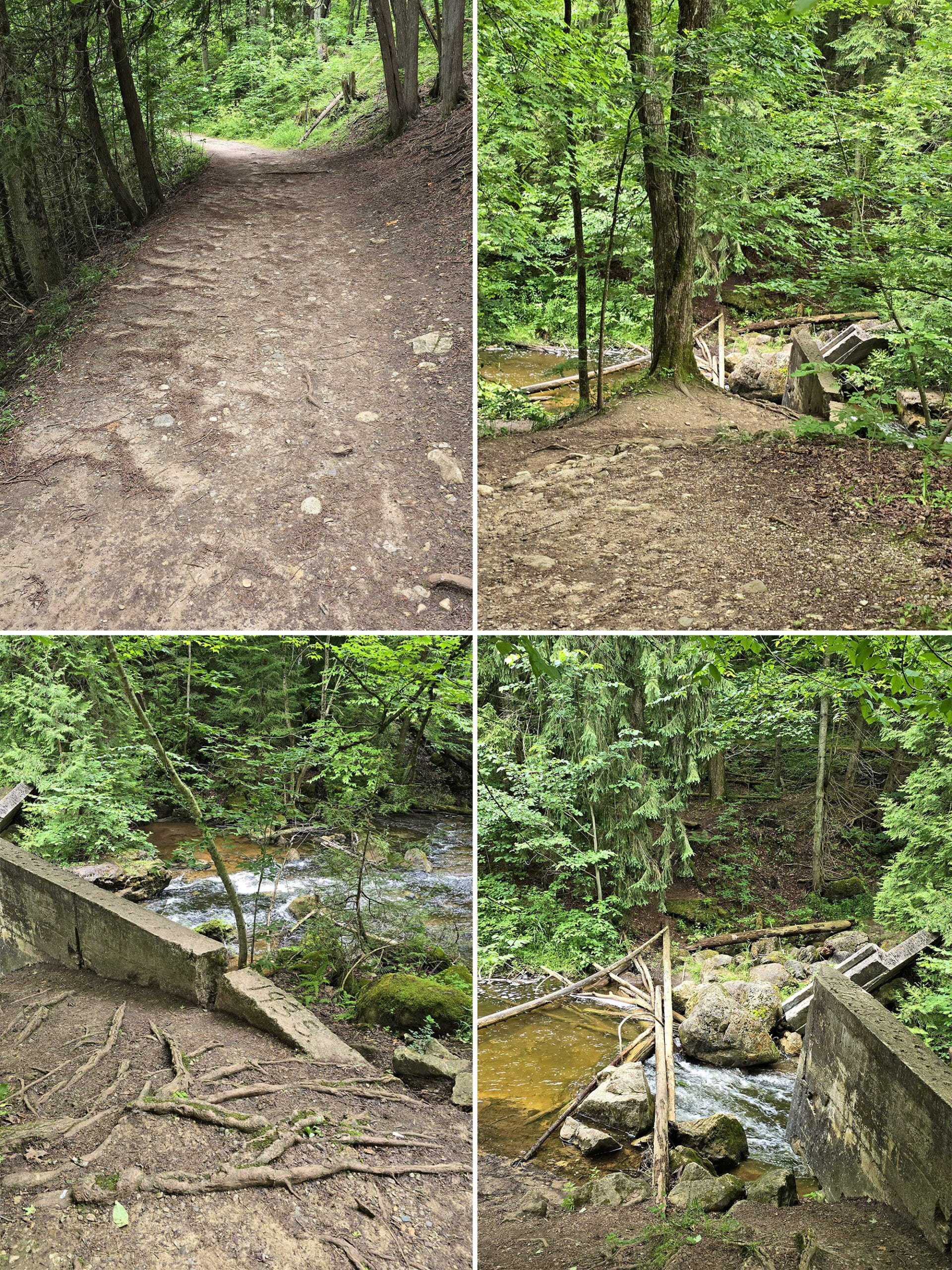 4 part image showing various views along the Lookout Trail at Hogg’s Falls.