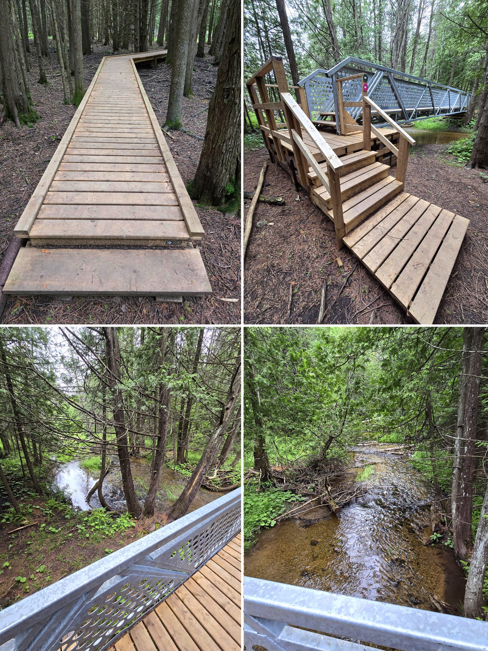 4 part image showing boardwalk, a bridge, and other views from the riverside boardwalk hike.