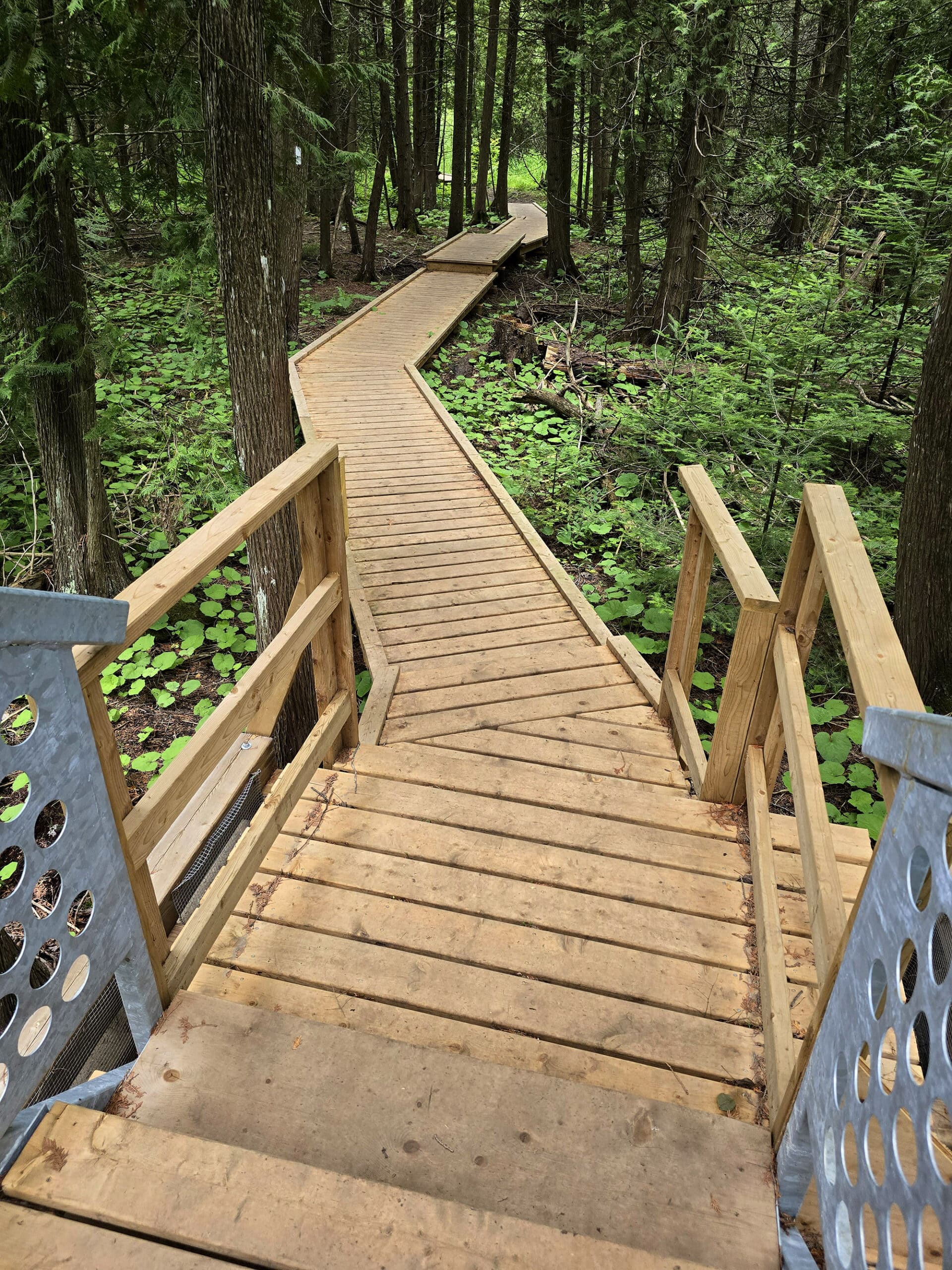 A boardwalk descending out from the bottom of a bridge’s steps.