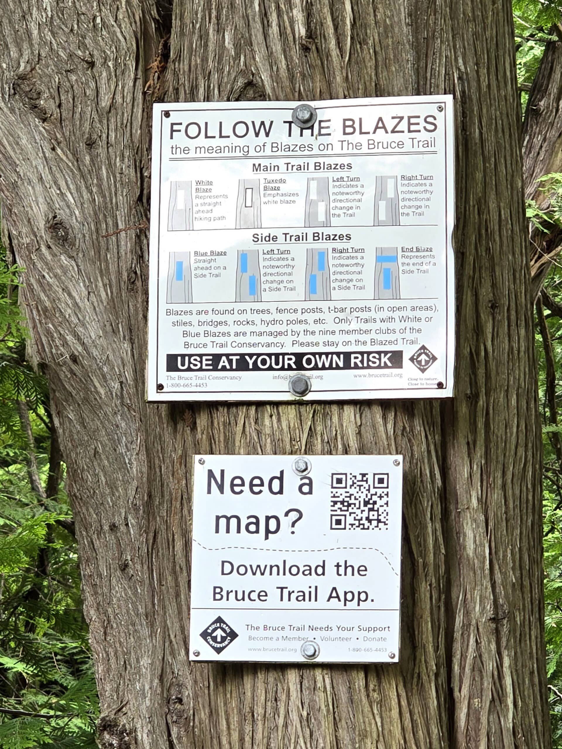 2 signs on a tree. One shows what the different trail blazes mean, and the other is a QR code for the Bruce Trail App.