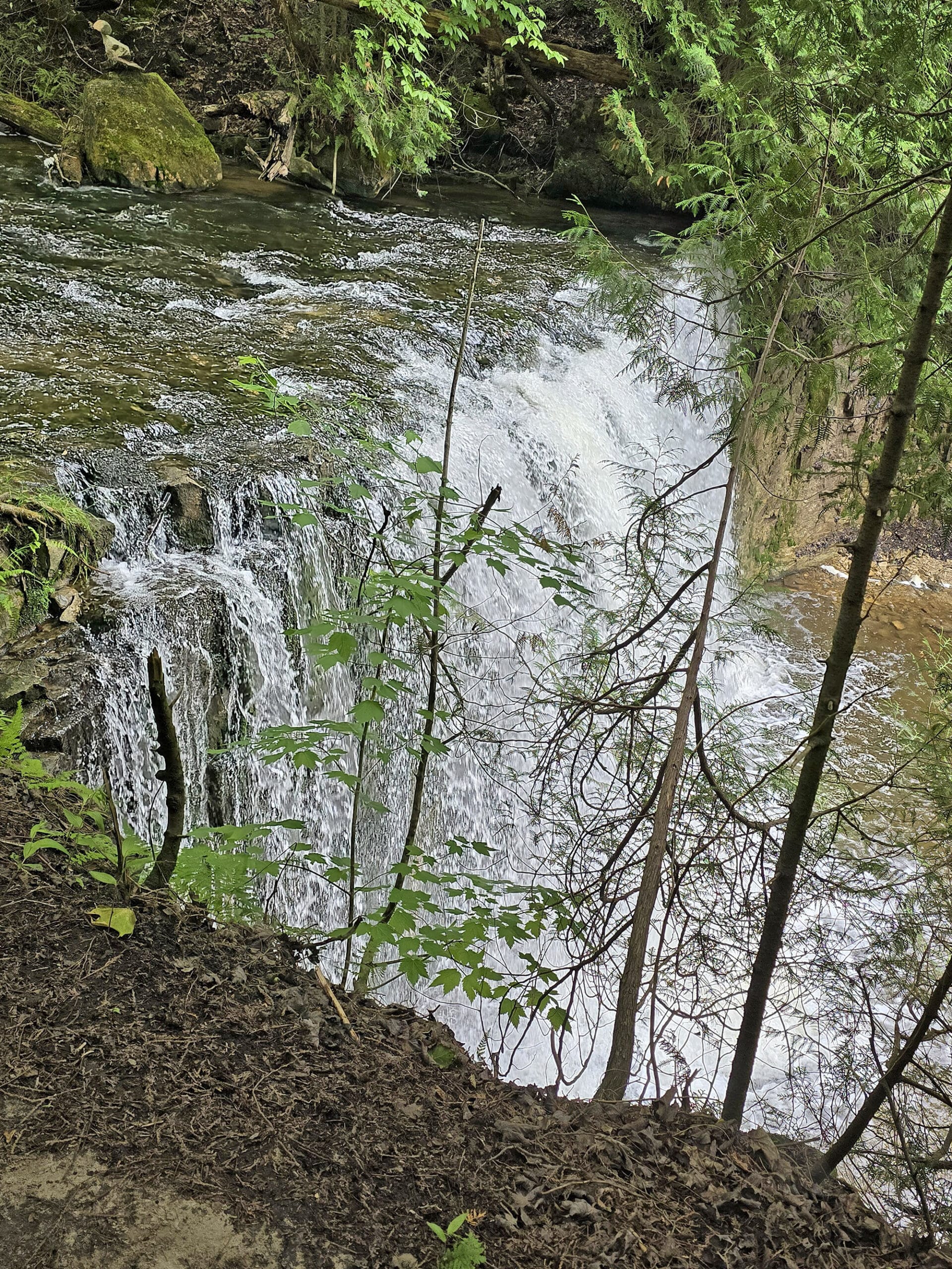 Looking down on hoggs falls, from the waterfall trail.