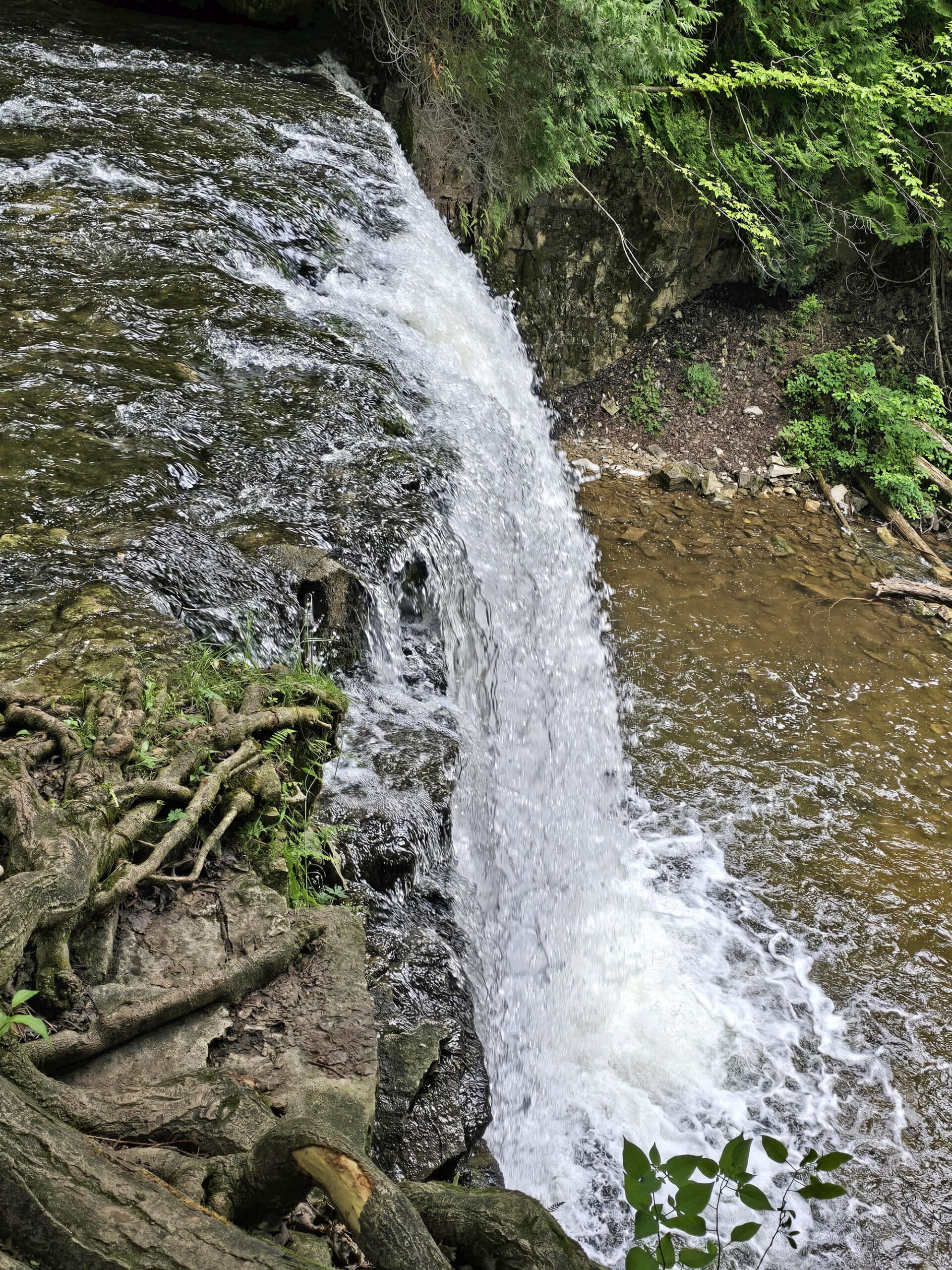 Looking down on hoggs falls, from the waterfall trail.