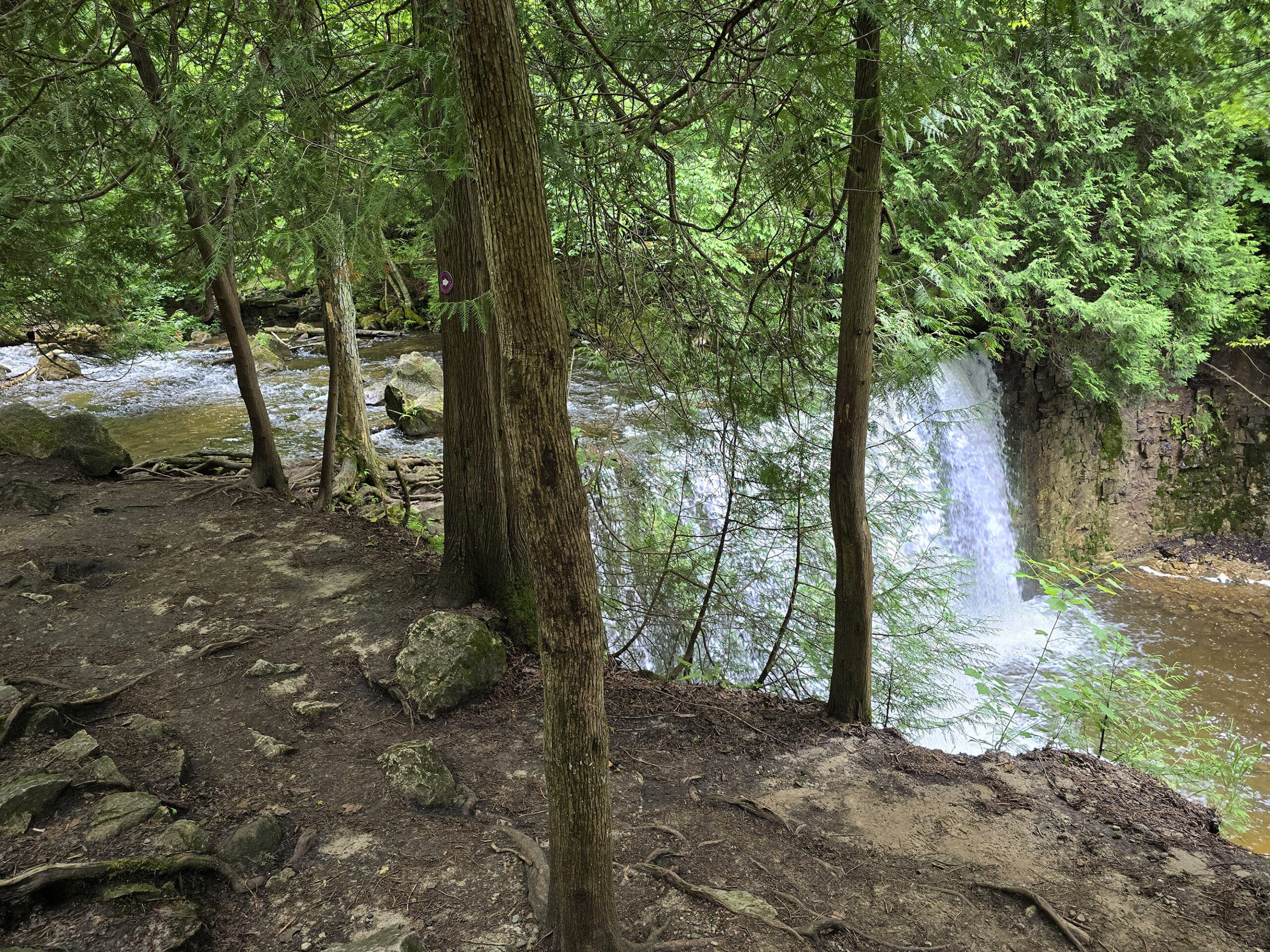 Looking down on hoggs falls, from the waterfall trail.