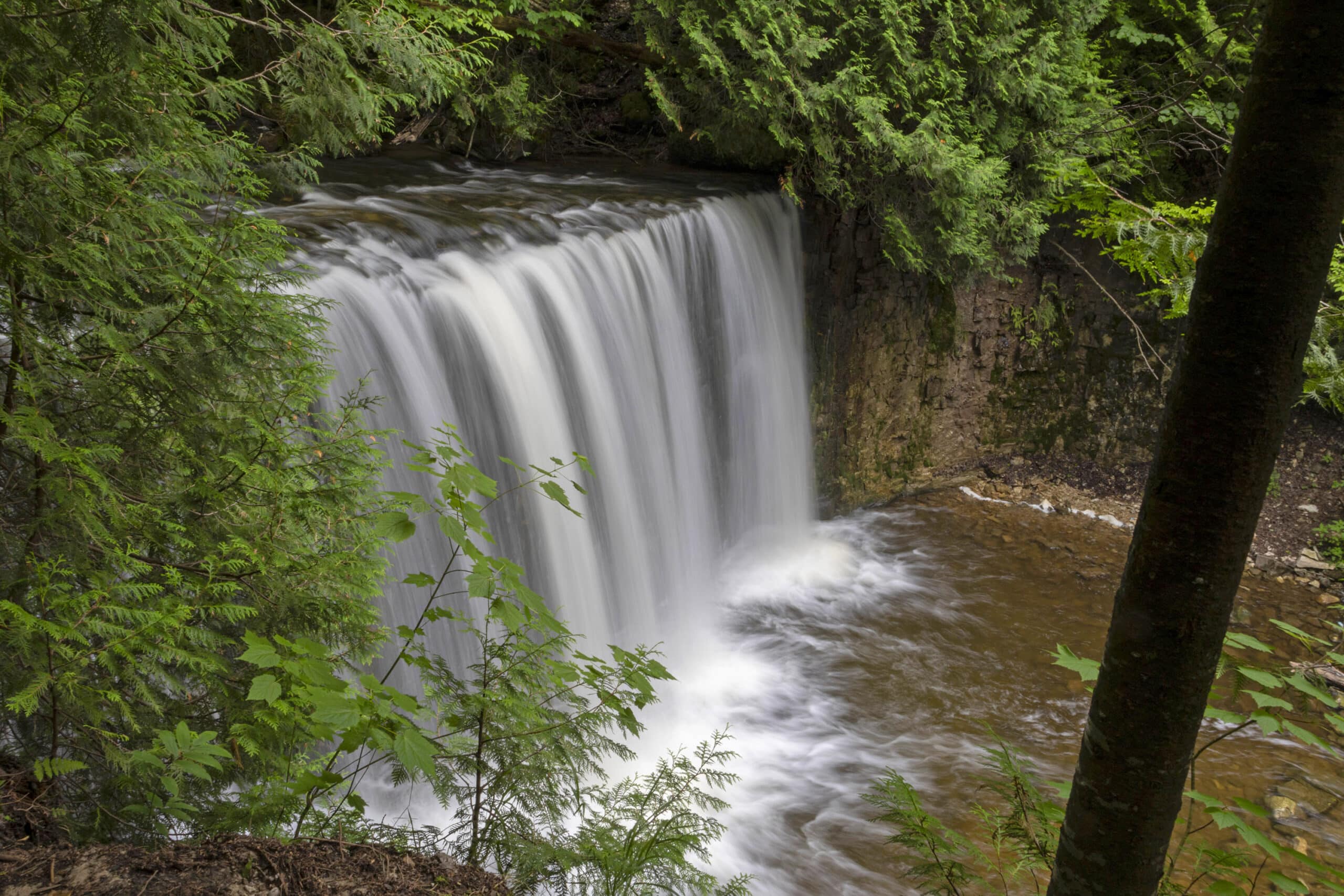 Hogg’s Falls, as viewed from the waterfall trail.