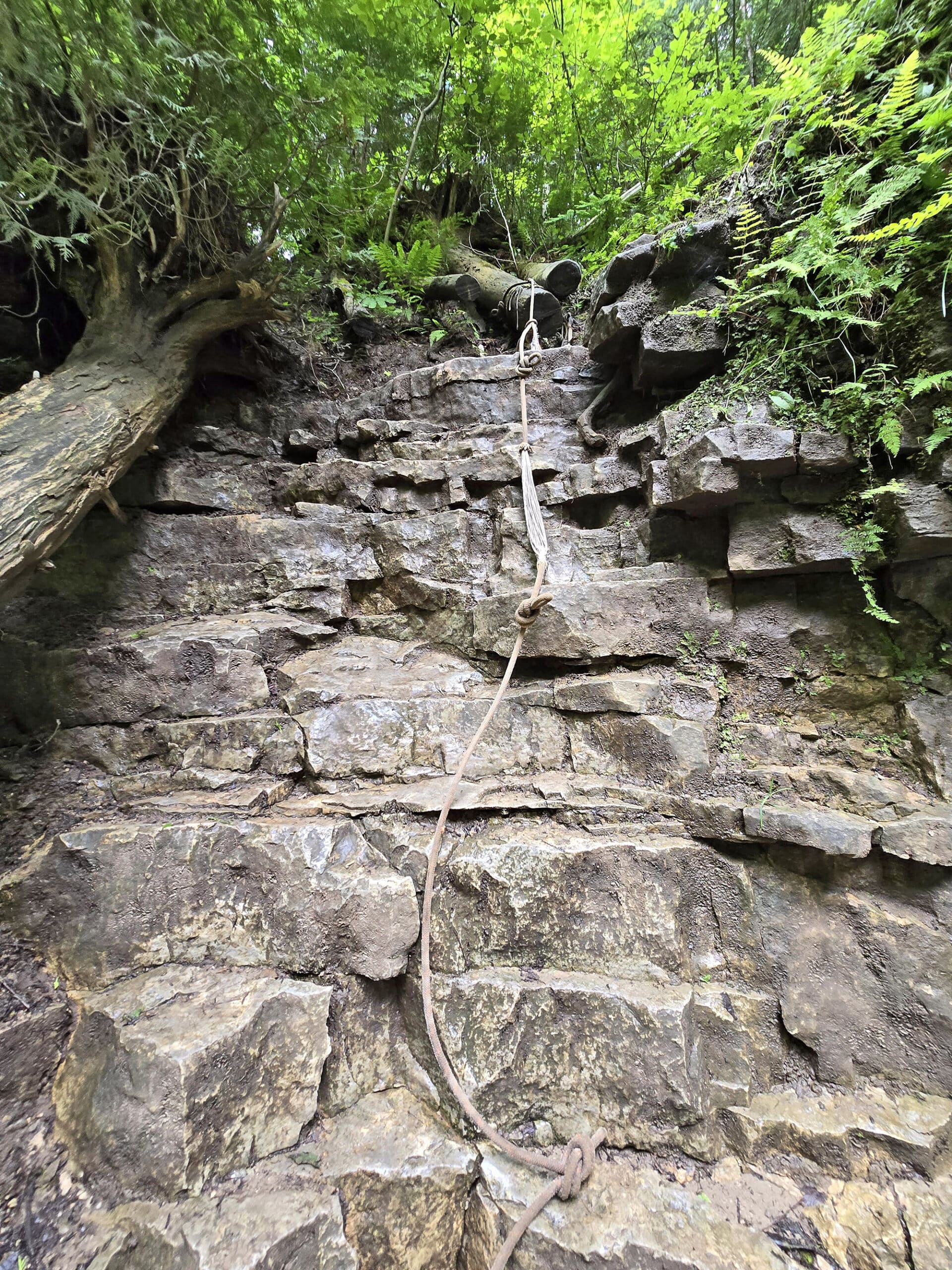 Looking up at a rope hanging over the side of a wall of rock.