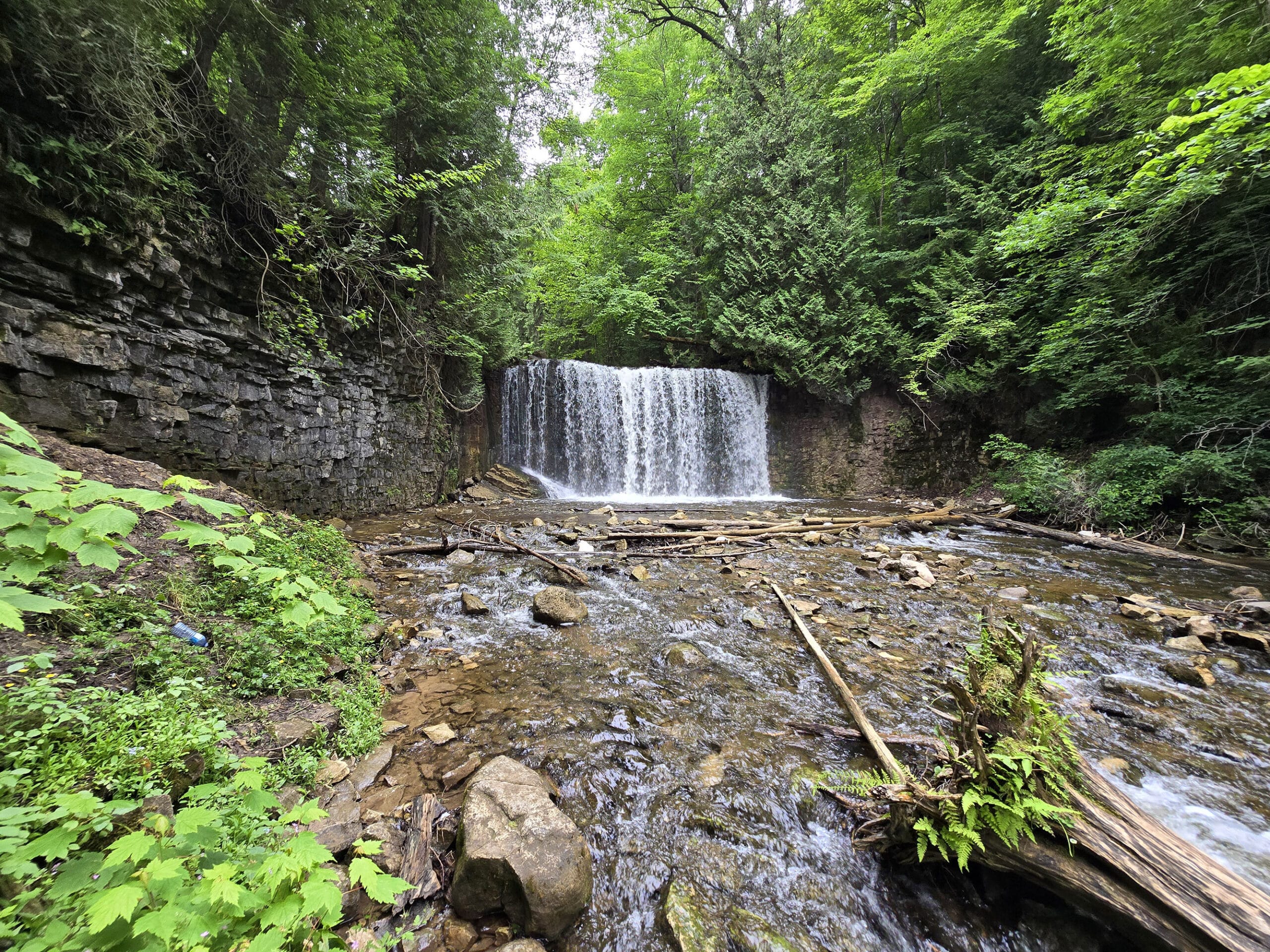 Hogg’s Falls, as viewed from below.