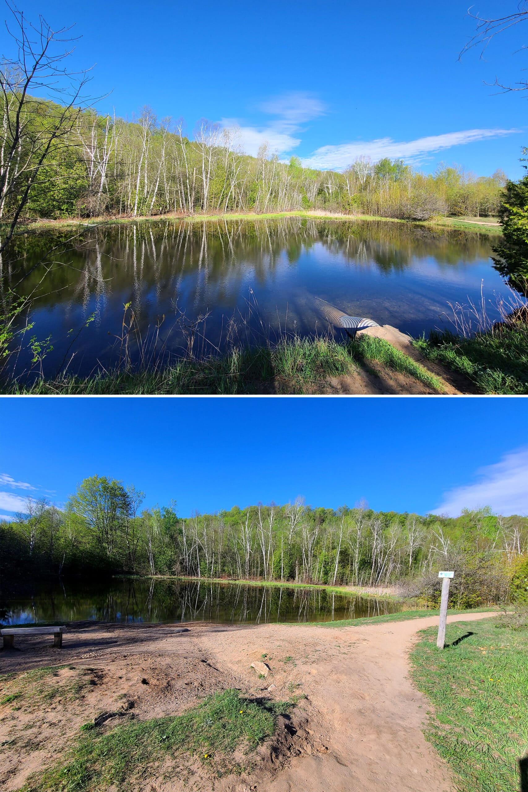 A small pond at mono cliffs park.