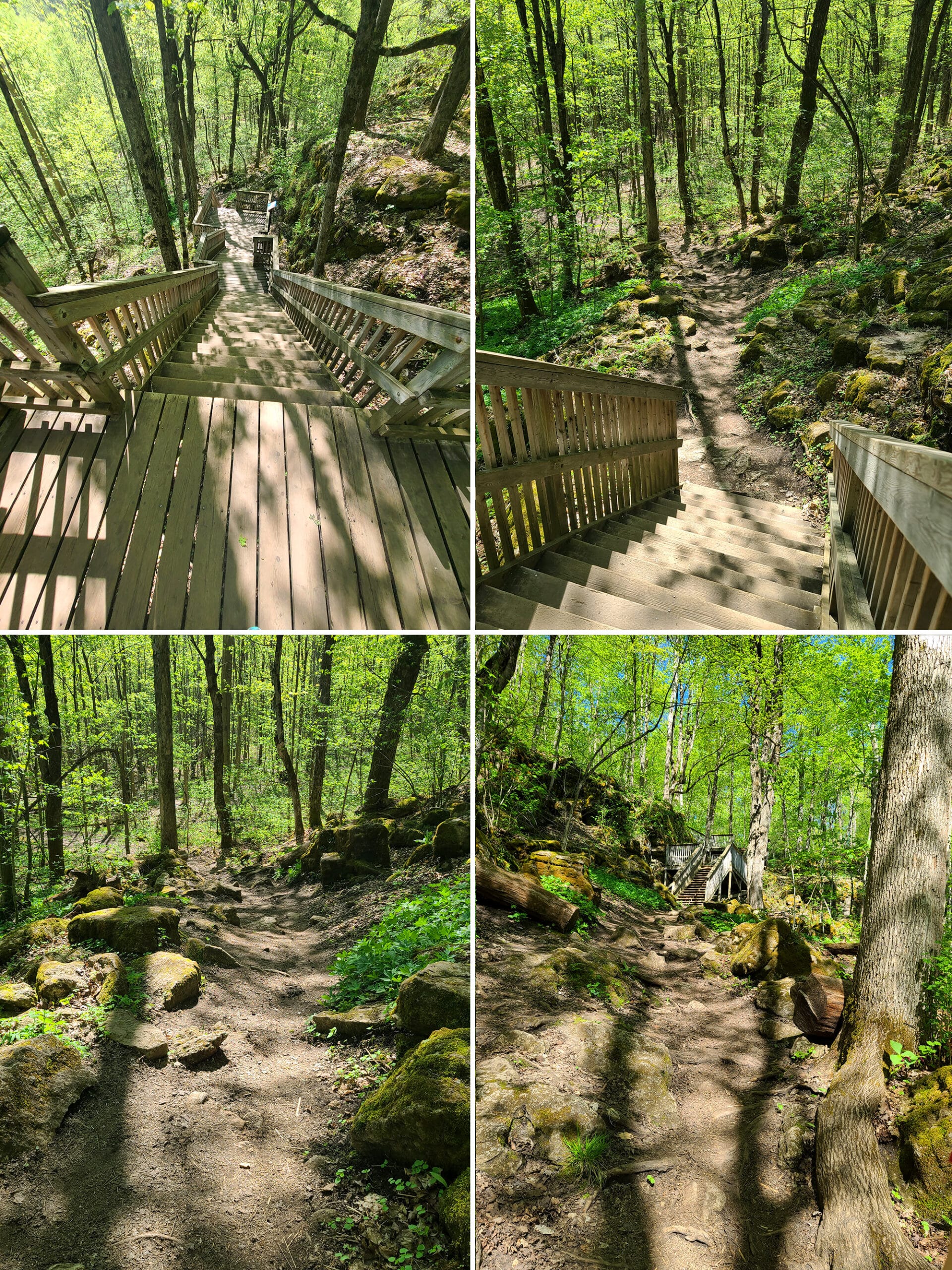 4 part image showing a wooden staircase descending into the forest.