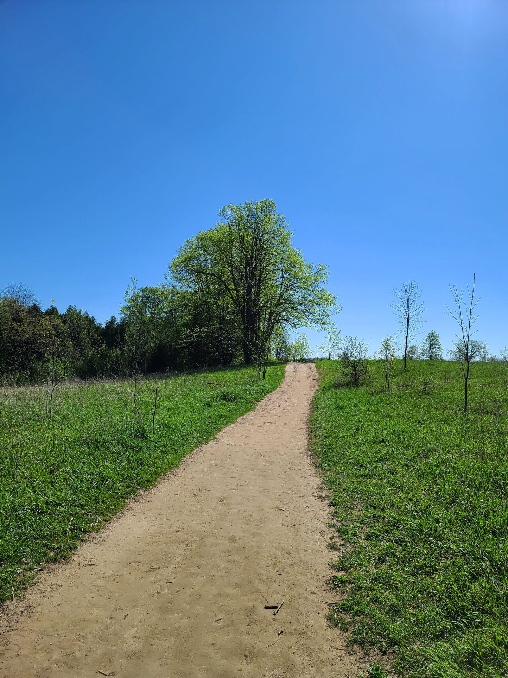 A wide path going through a field.