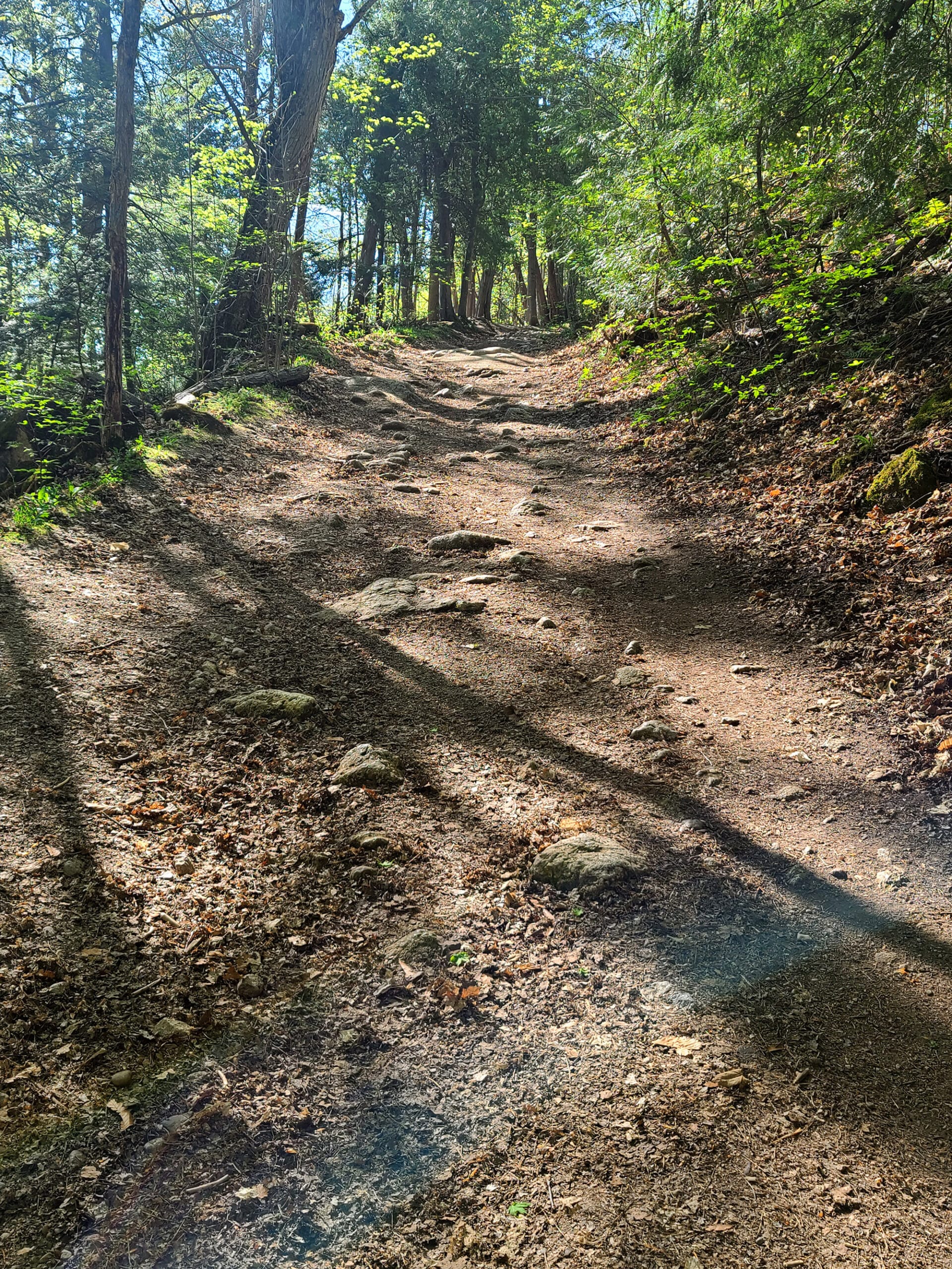 A wide, steep hiking trail.