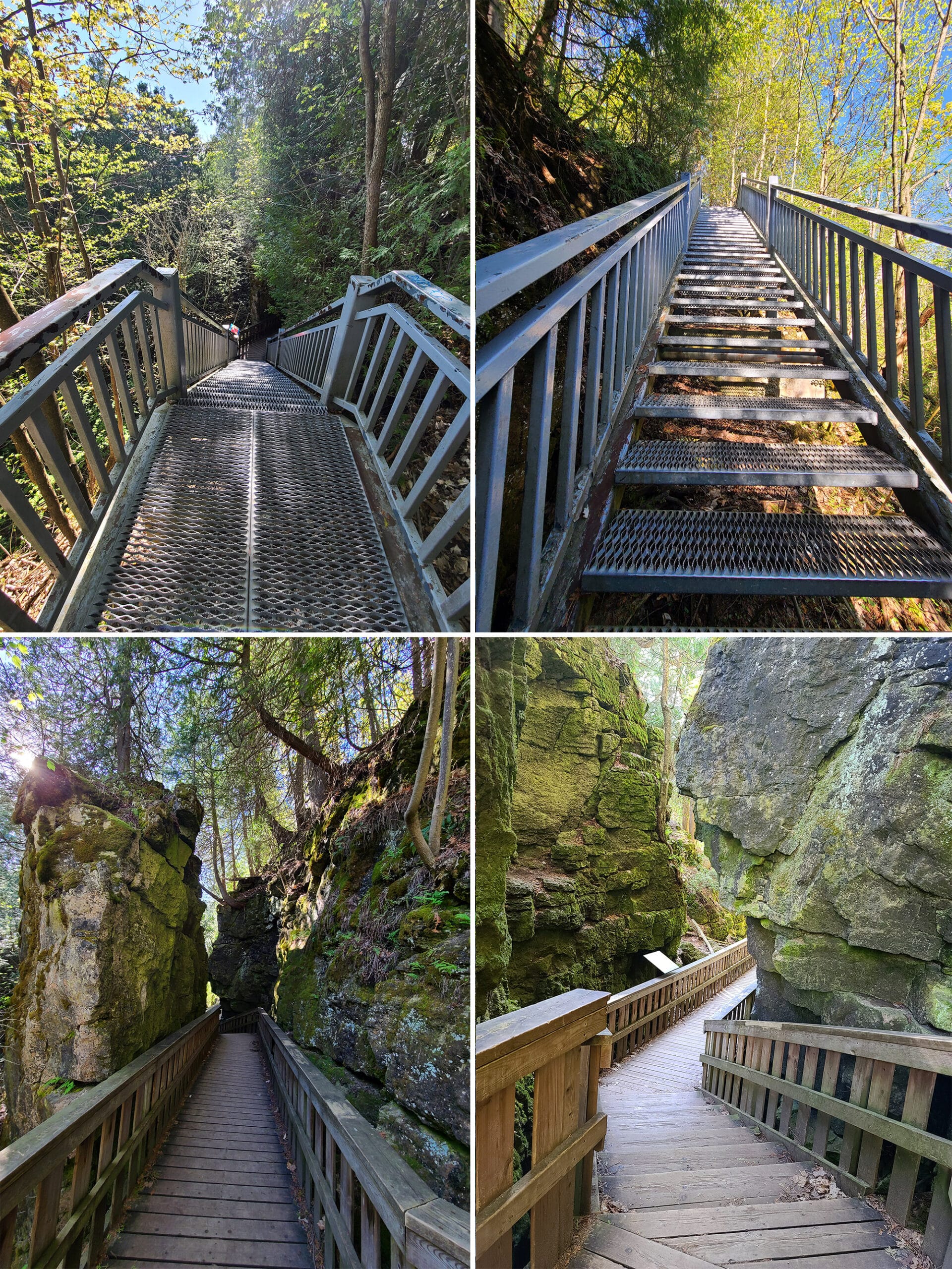 4 part image showing various views of the boardwalk and cliffs on the cliff top side trail.