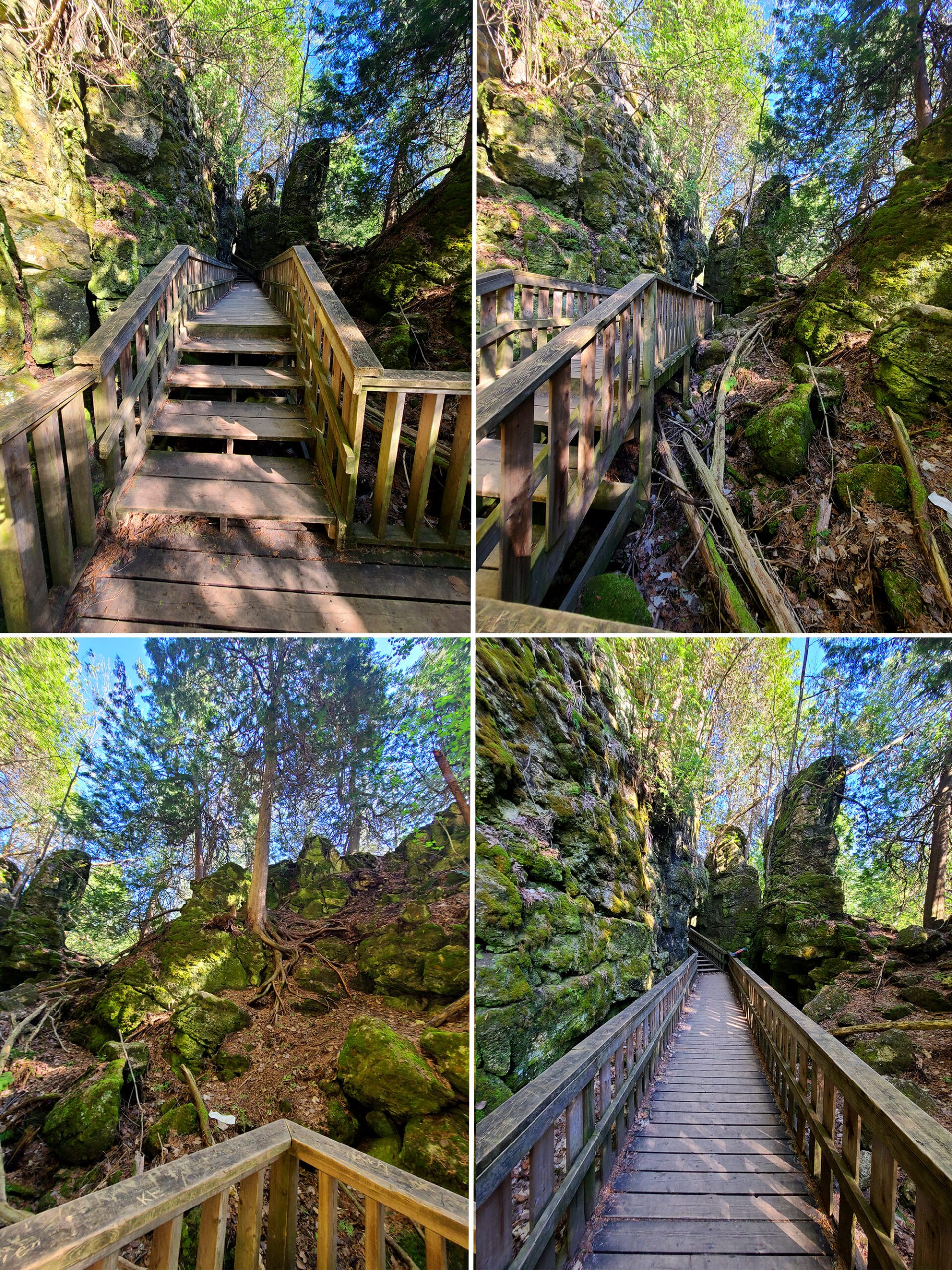 4 part image showing various views of the boardwalk and cliffs on the cliff top side trail.