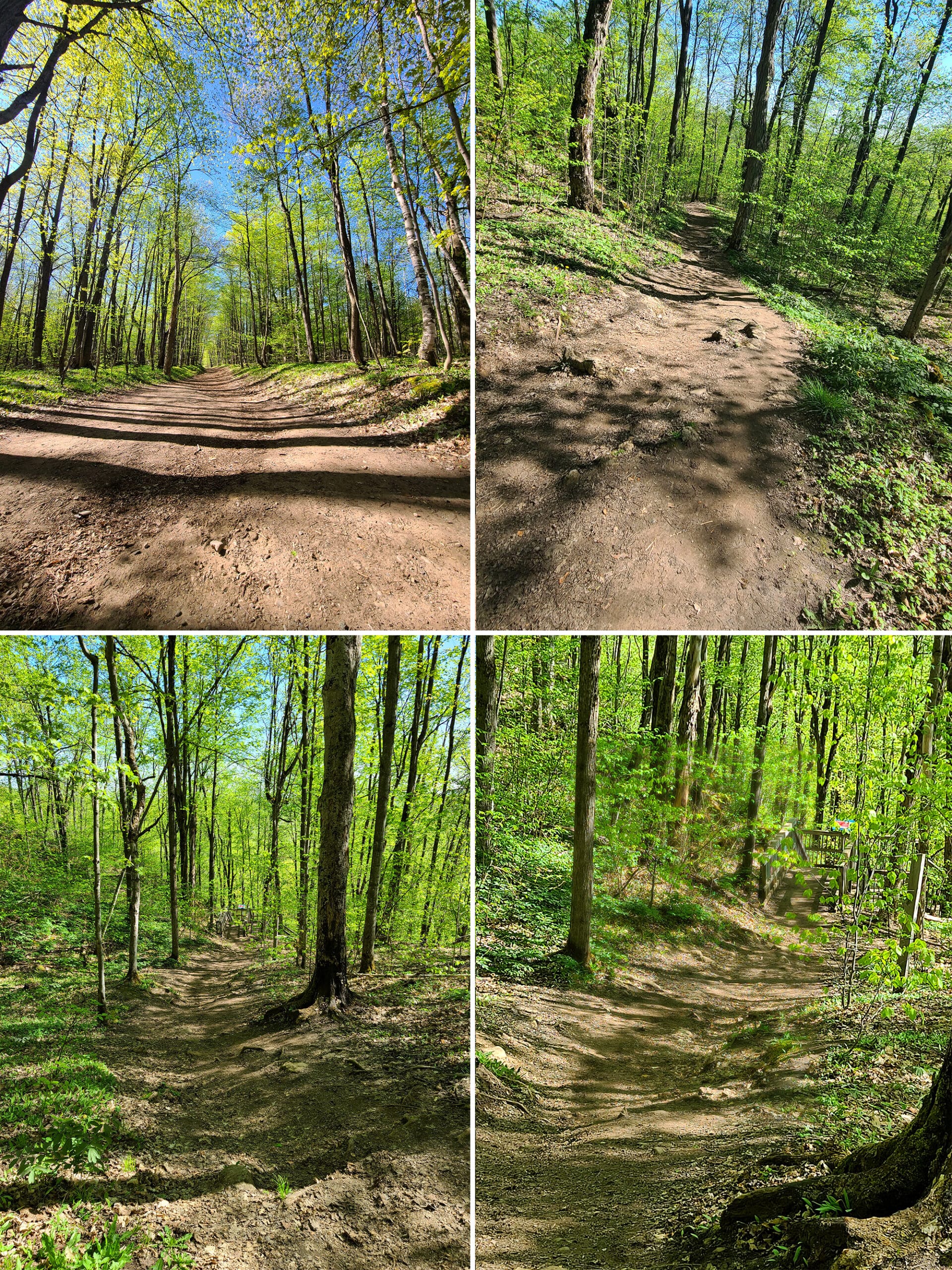 4 part image showing various views along cliff top side trail.