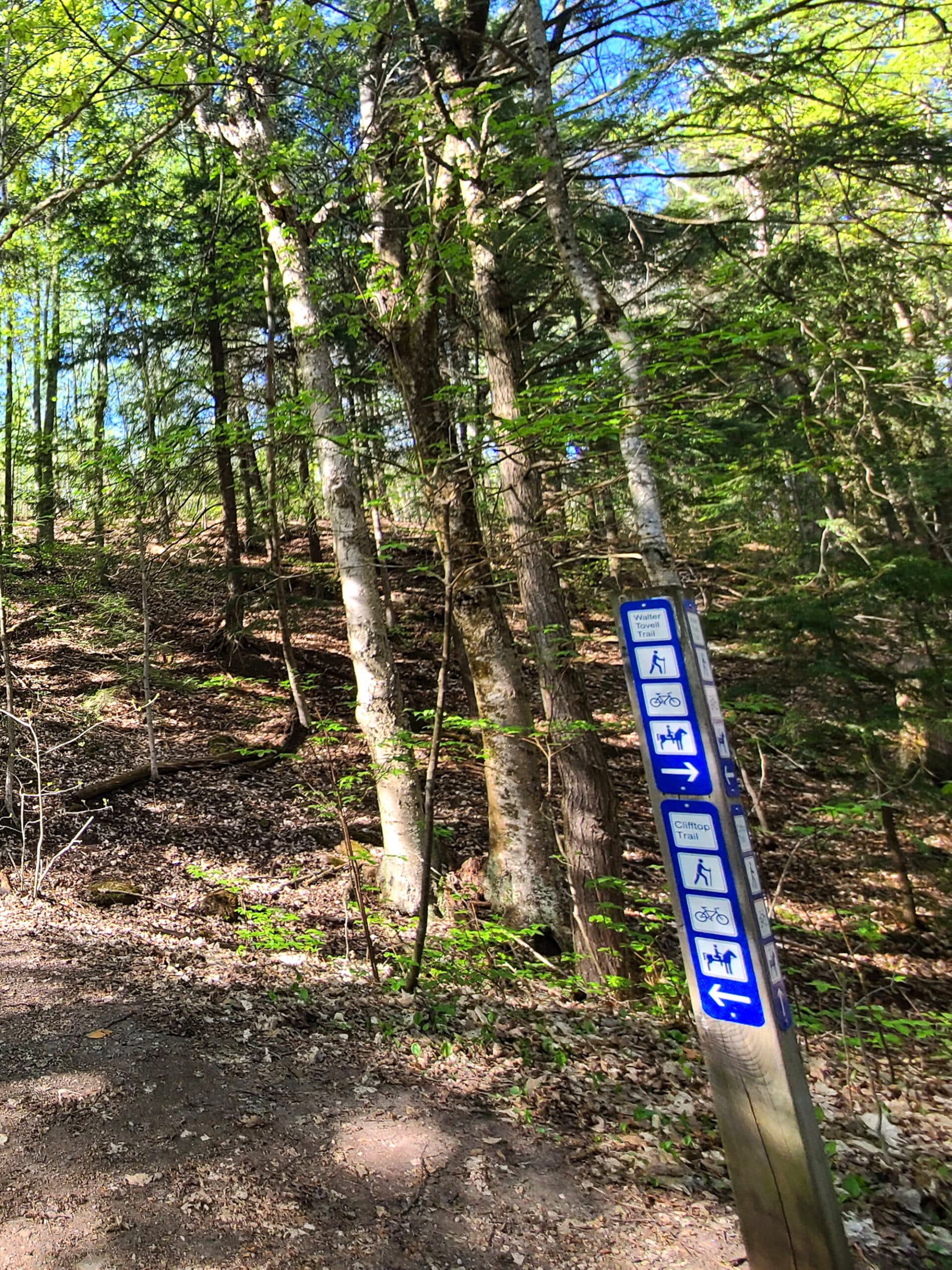 A trail marker with different activities and trails pointed out.