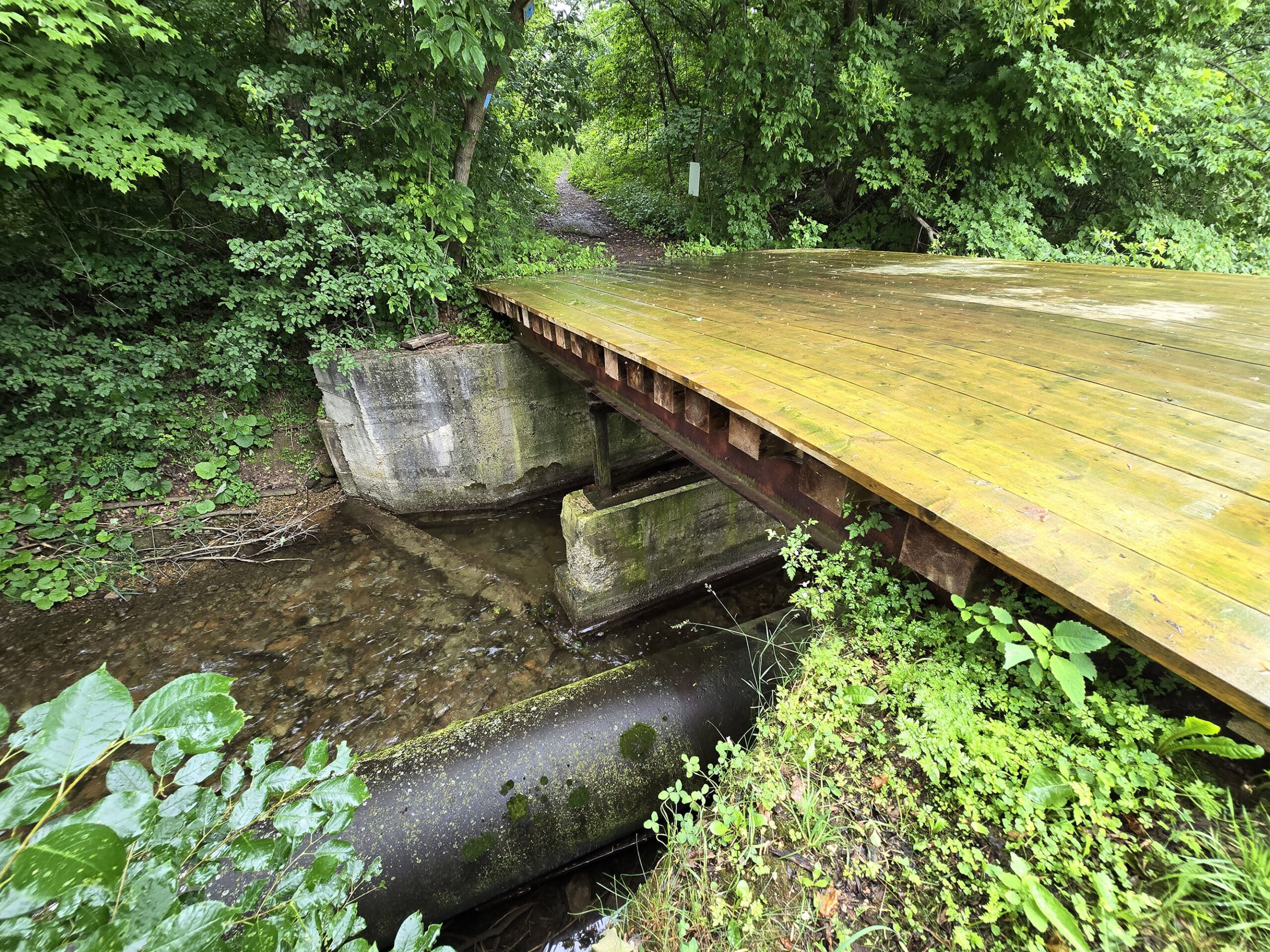 A side view of the little bridge that crosses Bighead river, just upstream of walter's falls.