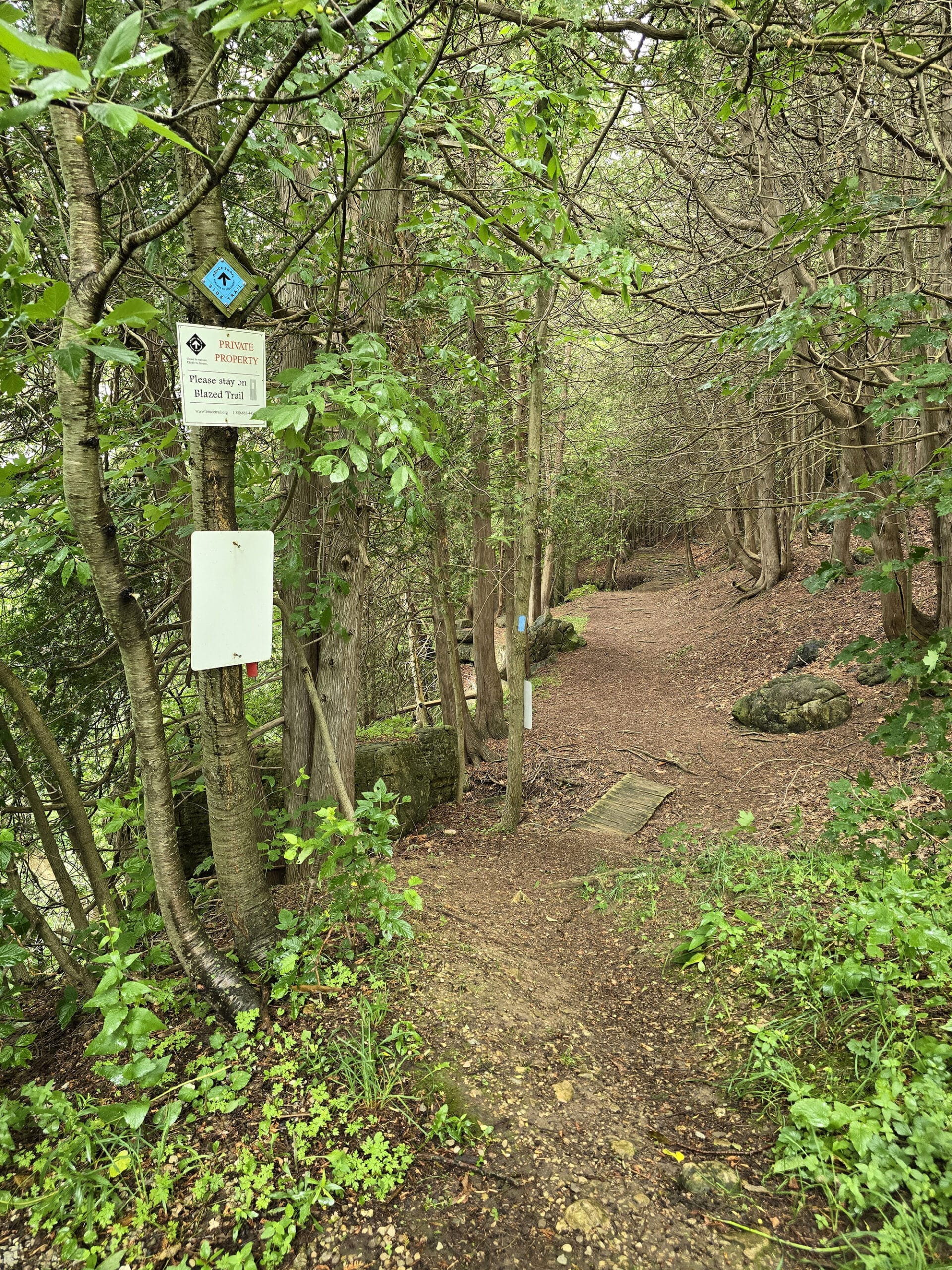 A trail in the woods, with some trail signage on a tree in the foreground.