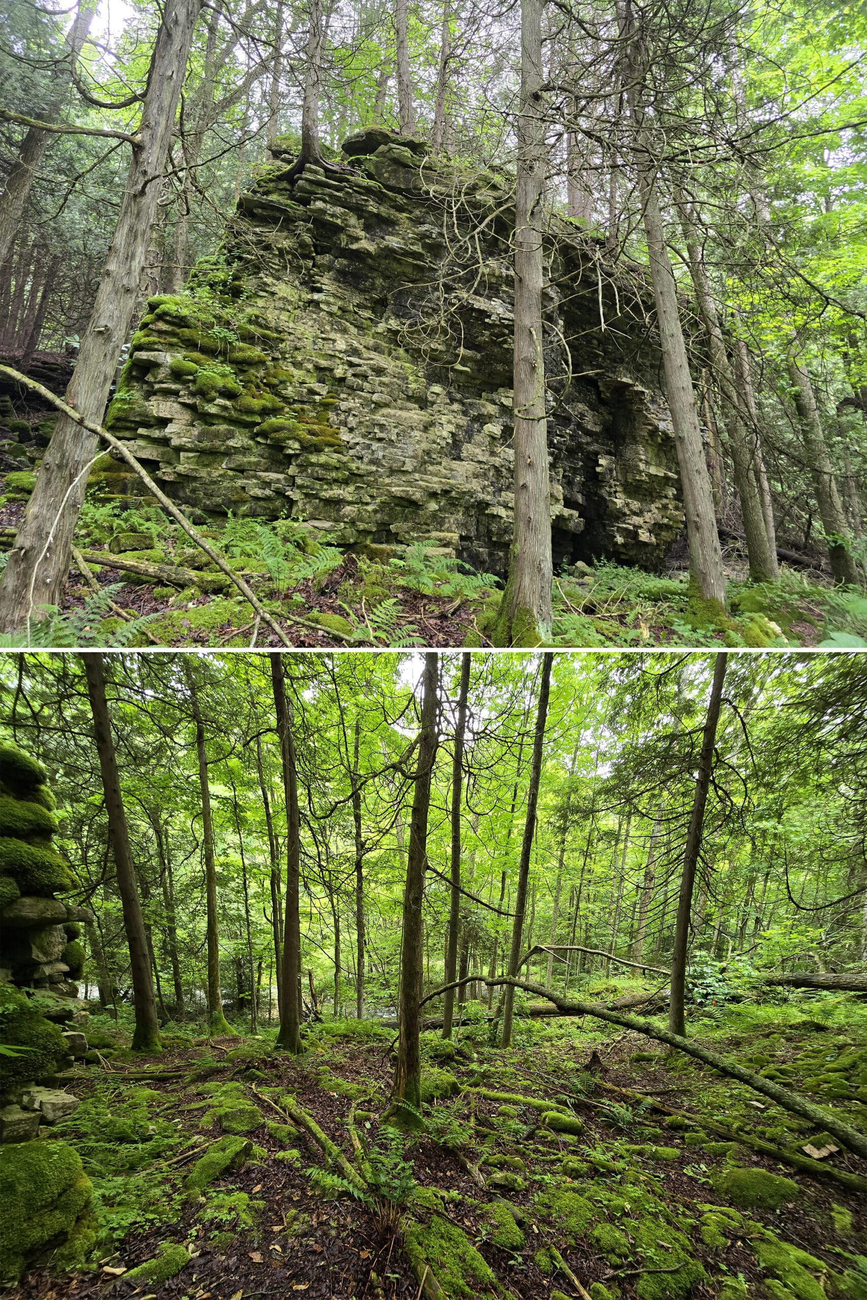 2 part image showing some of the views of the Bruce Side Trail.