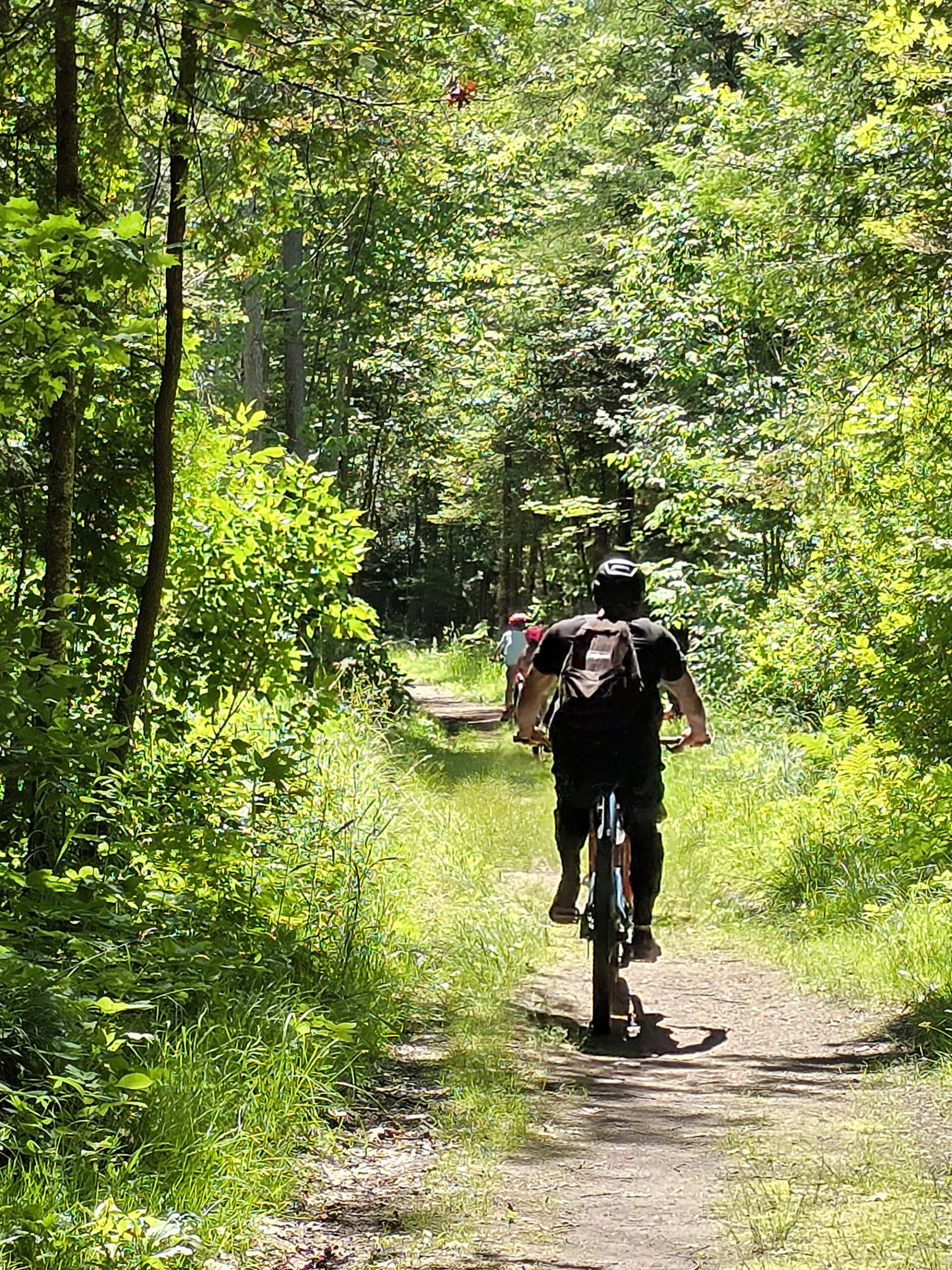 Several cyclists on the trails at Wasaga Beach Provincial Park.