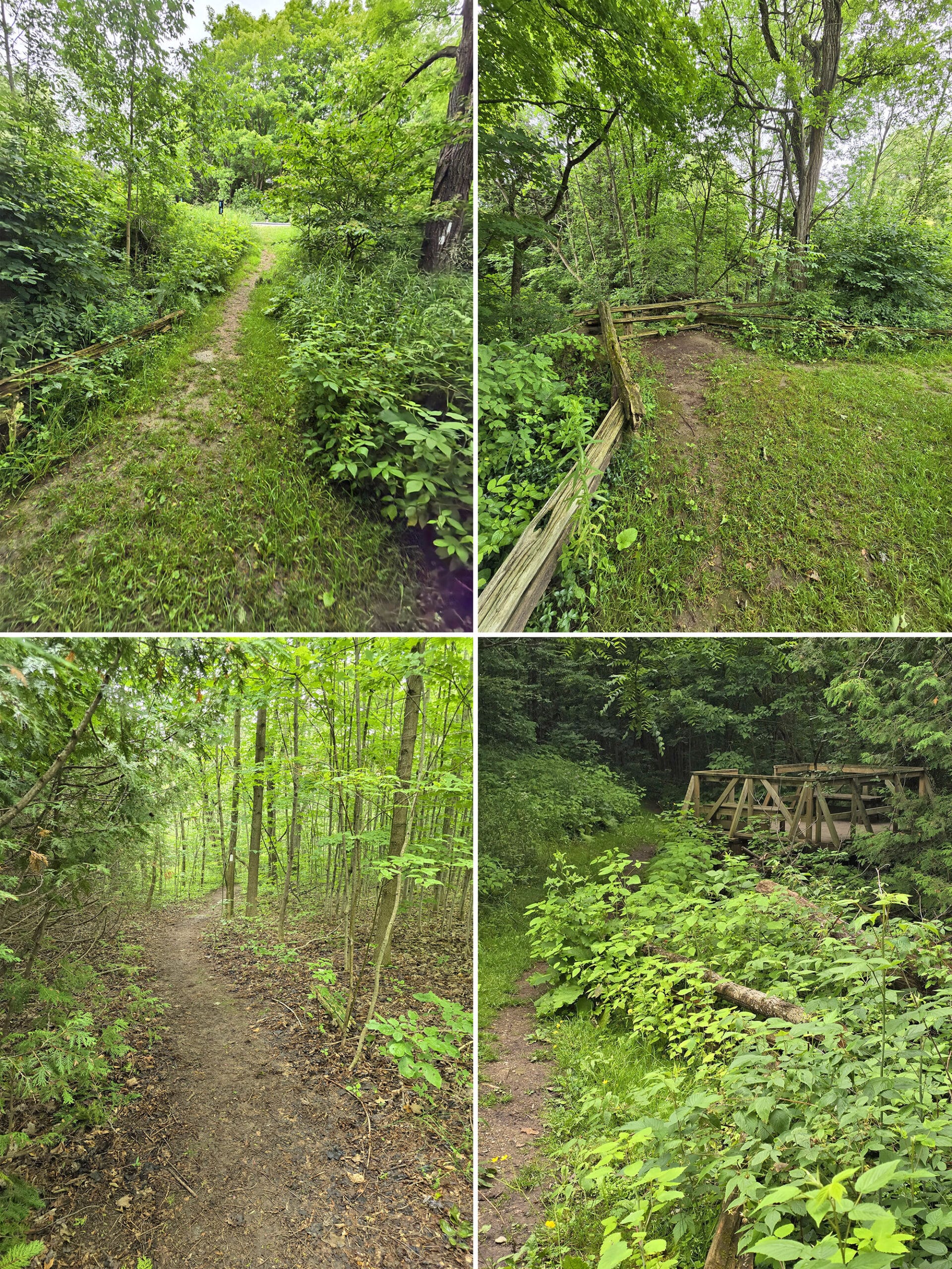 4 part image showing a narrow trail through trees and grassy areas.