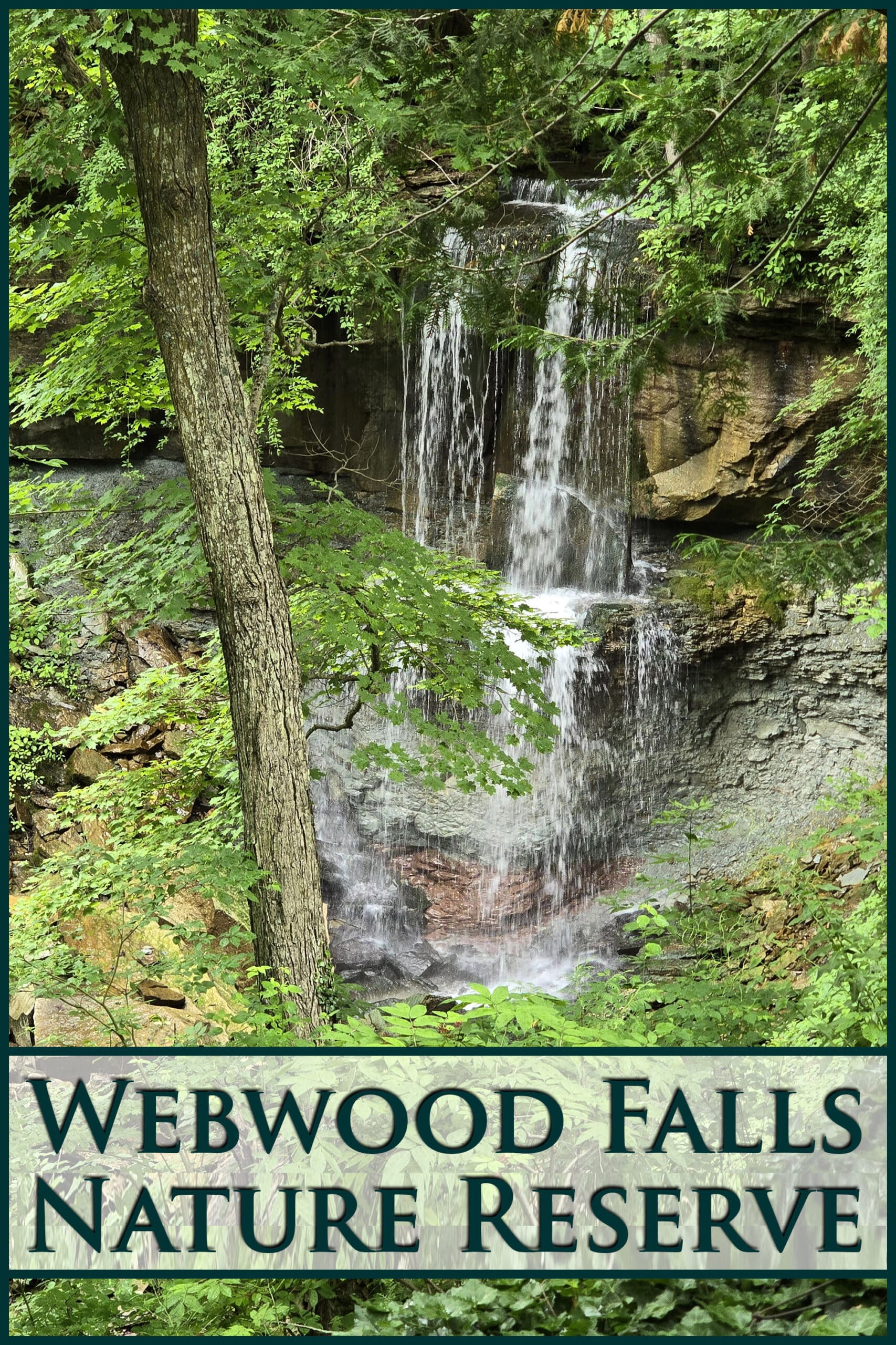 Webwood waterfall. Overlaid text says webwood falls nature reserve.