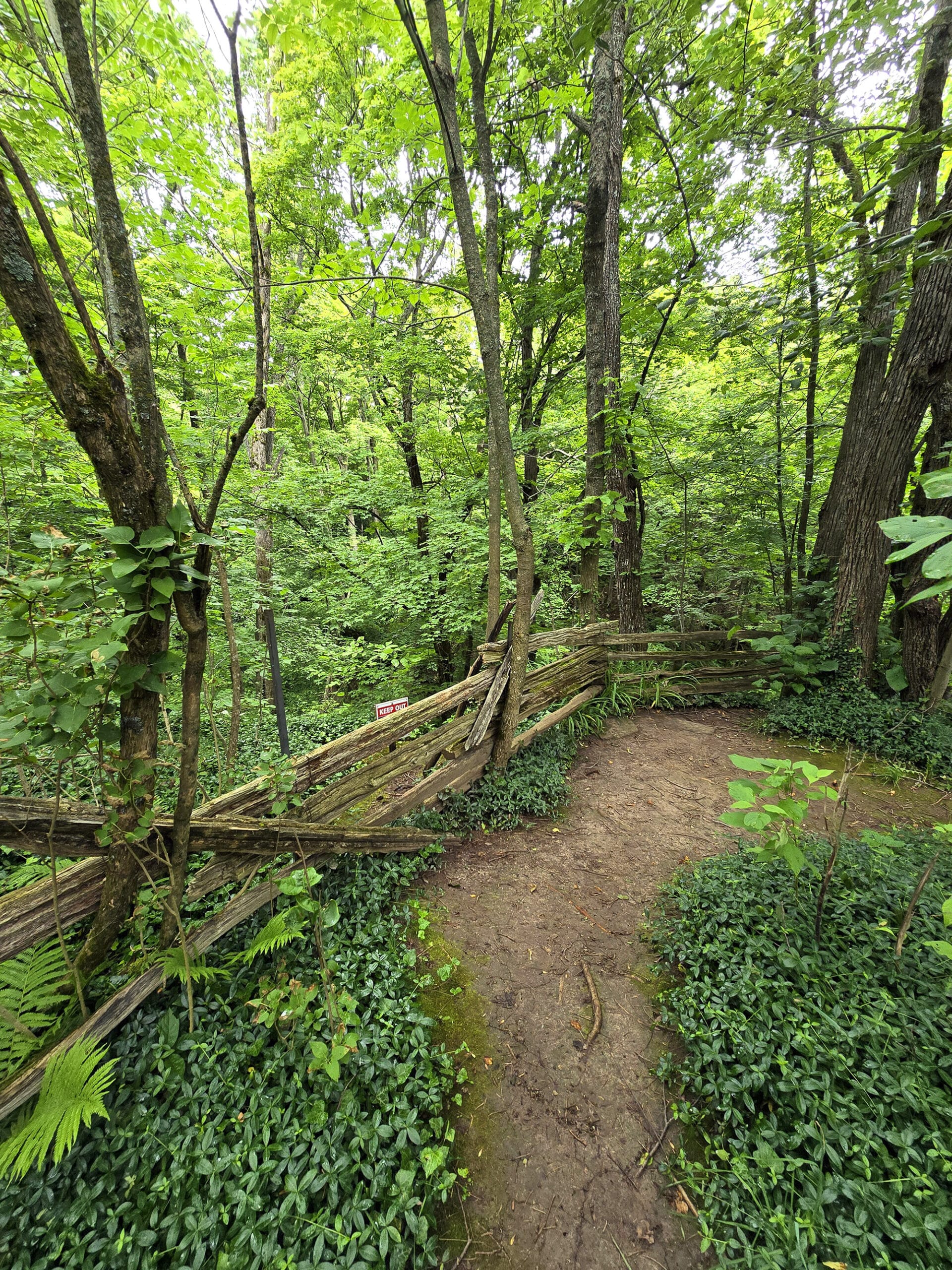 A small clearing with a wooden fence, overlooking a waterfall.