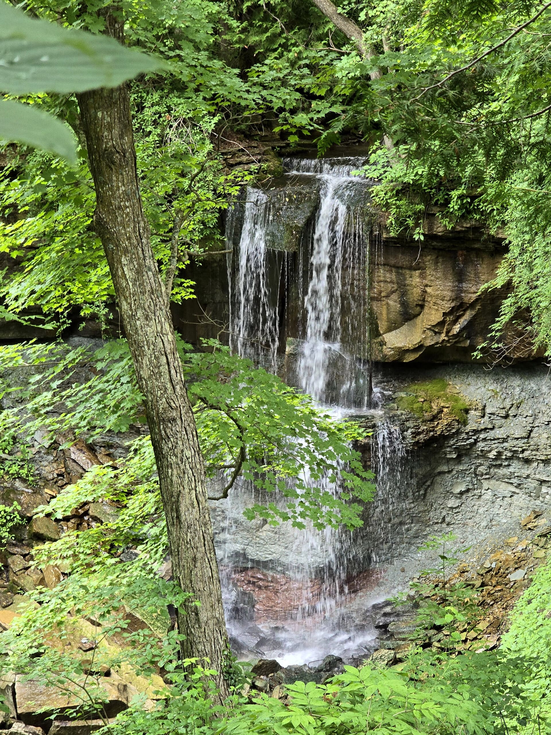 Webwood Falls, from a distance.