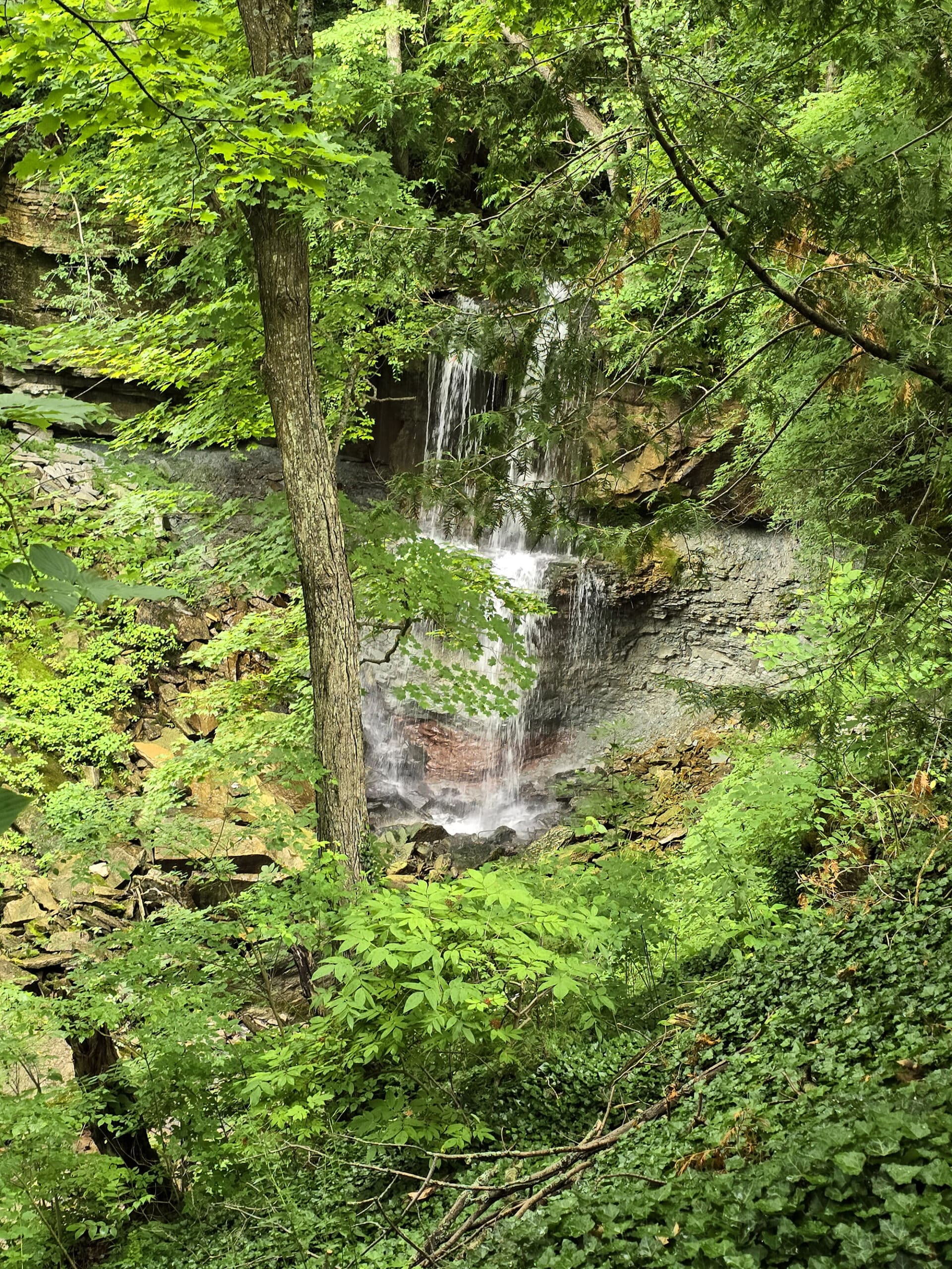 Webwood Falls, from a distance.