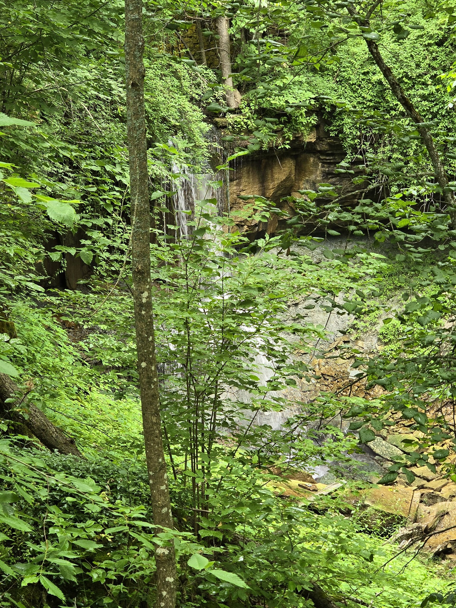 Webwood Falls, from a distance.