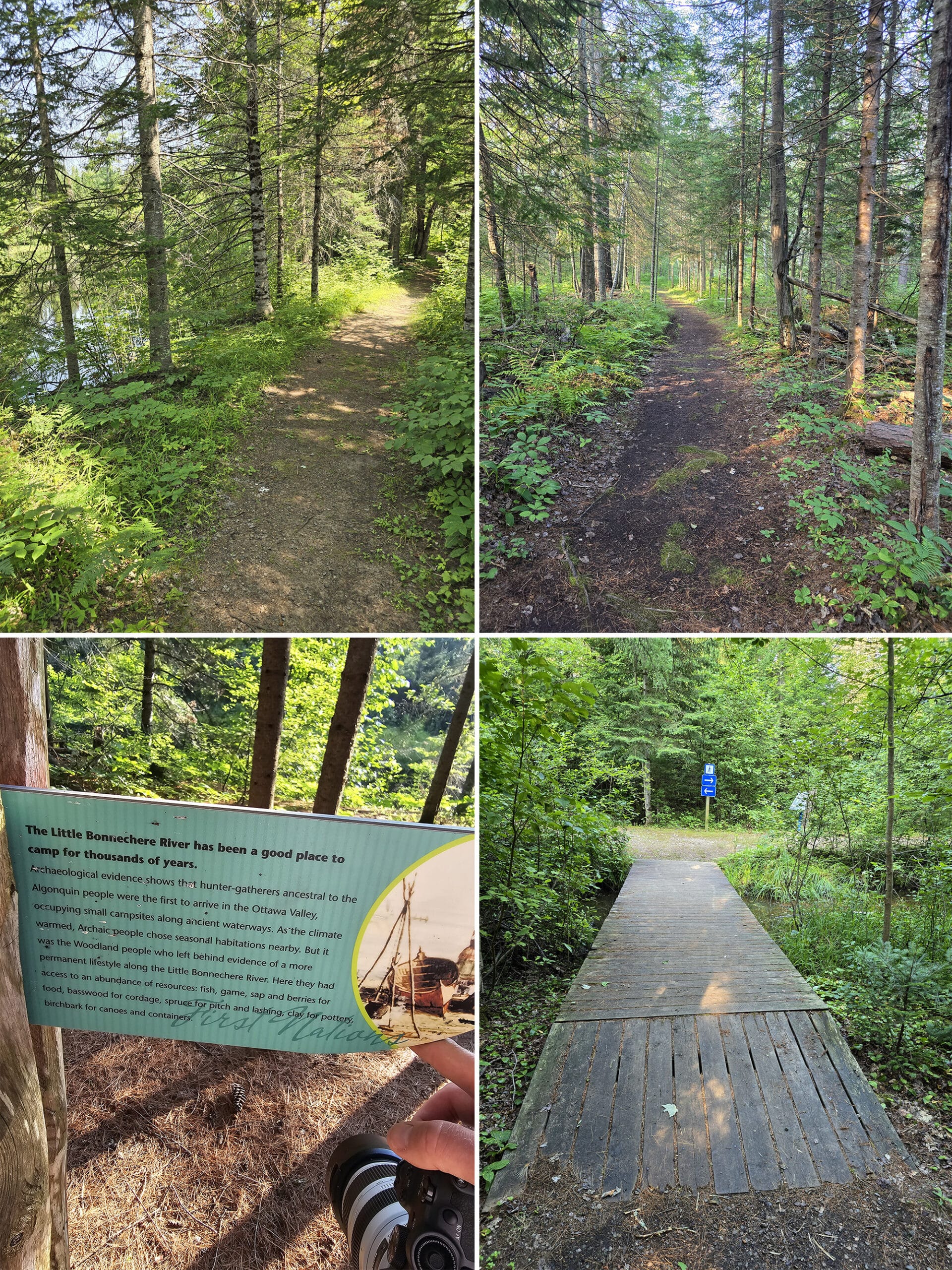 4 part image showing various views along the McNaughton Footprints in Time Trail at Bonnechere Provincial Park.