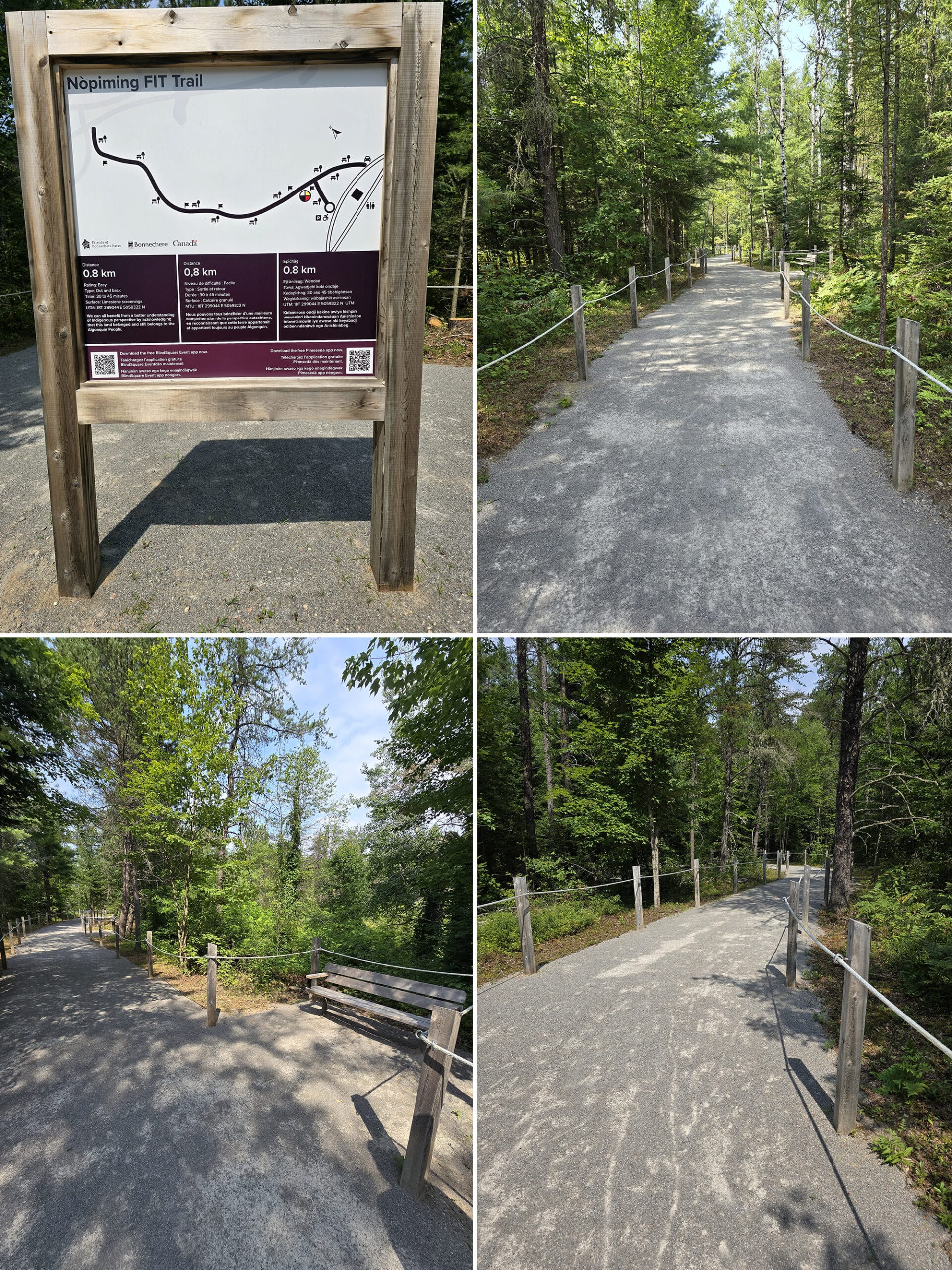 4 part image showing various views along the Woodland FIT Trail at Bonnechere Provincial Park.