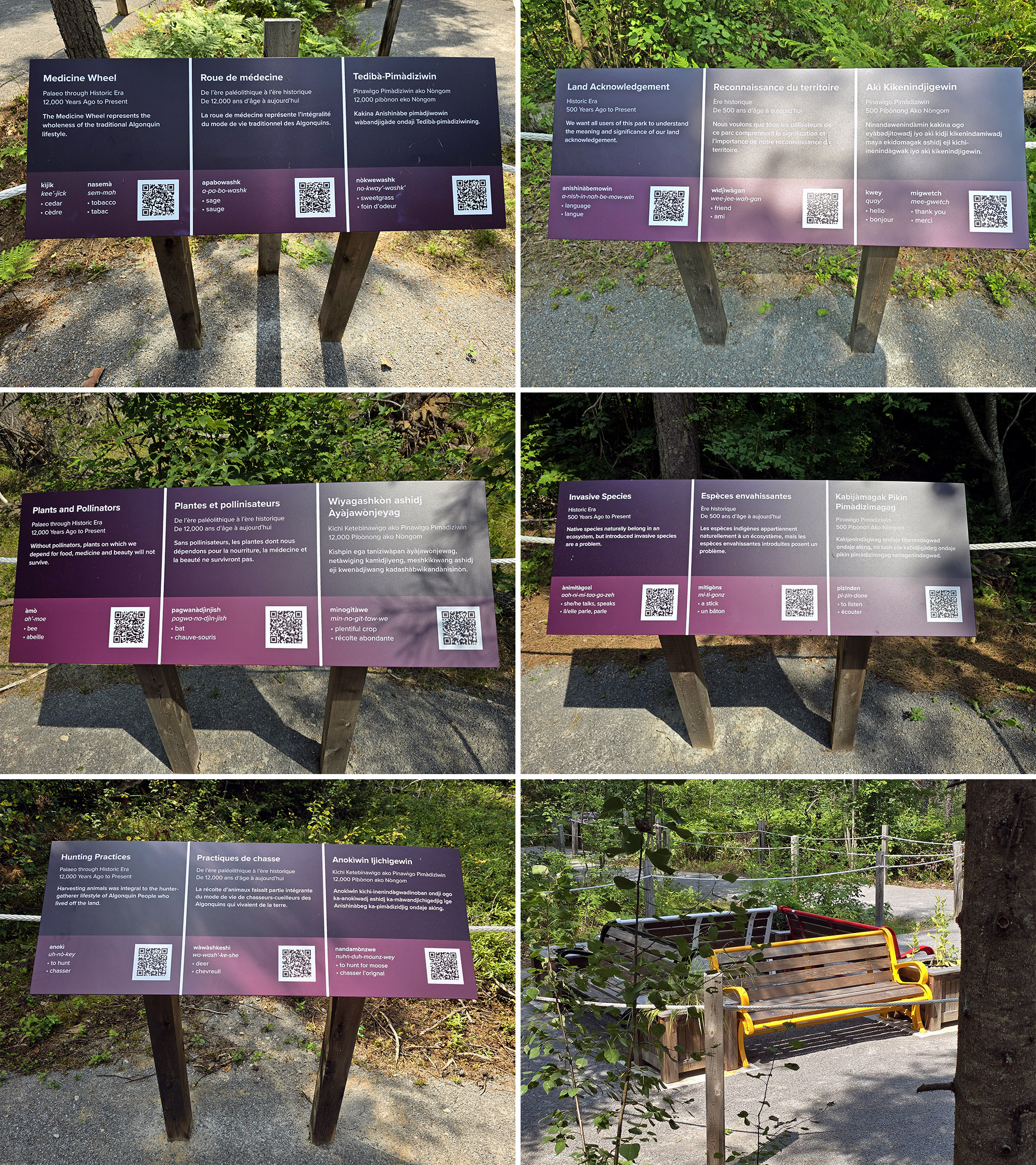 4 part image showing various views along the Woodland FIT Trail at Bonnechere Provincial Park.