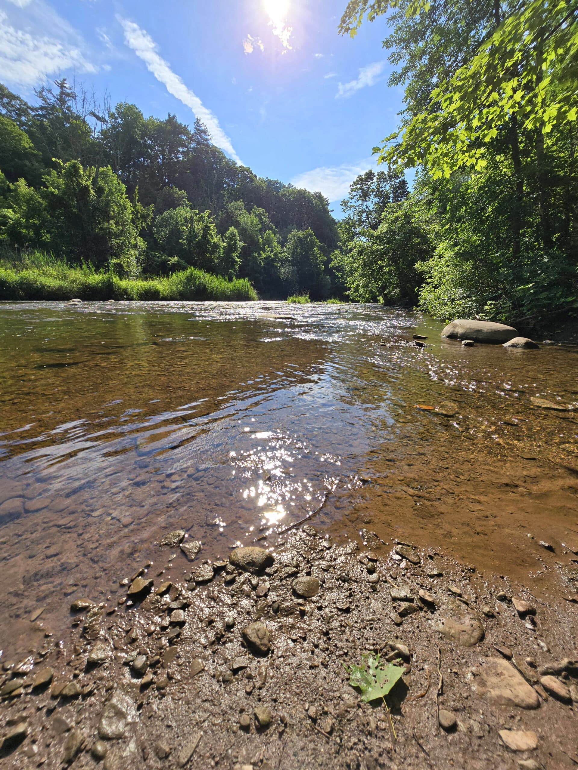 Bronte Creek.